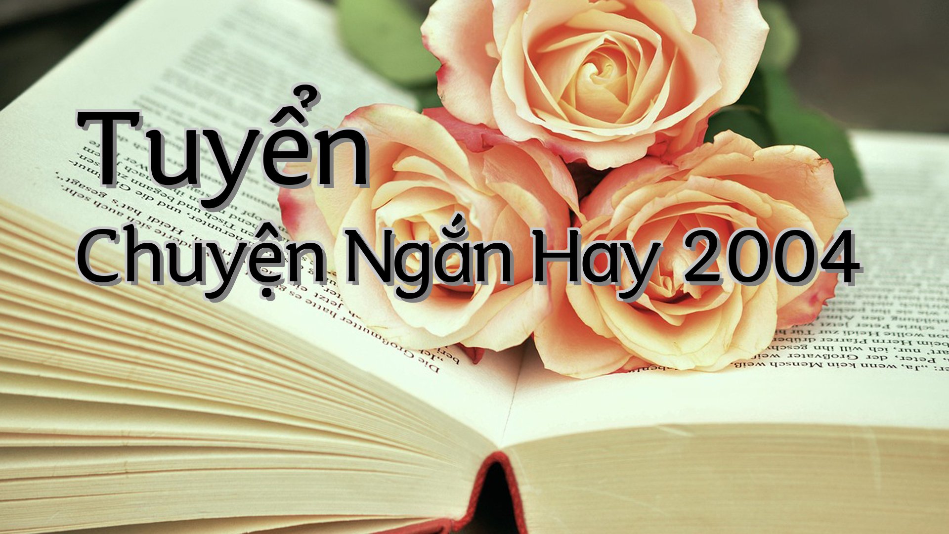 cover-Tuyển Chuyện Ngắn Hay 2004