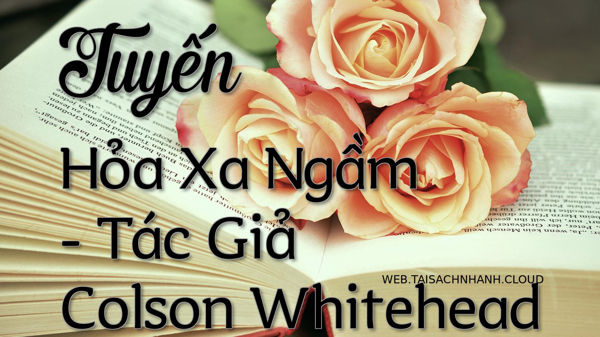 Cover Tuyen Hoa Xa Ngam.jpg