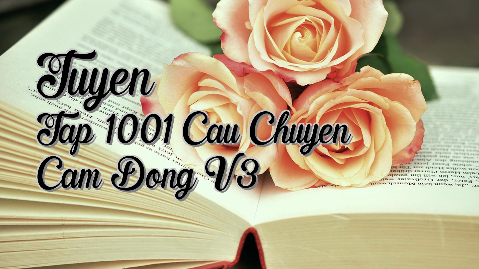 Cover image for Tuyen Tap 1001 Cau Chuyen Cam Dong V3