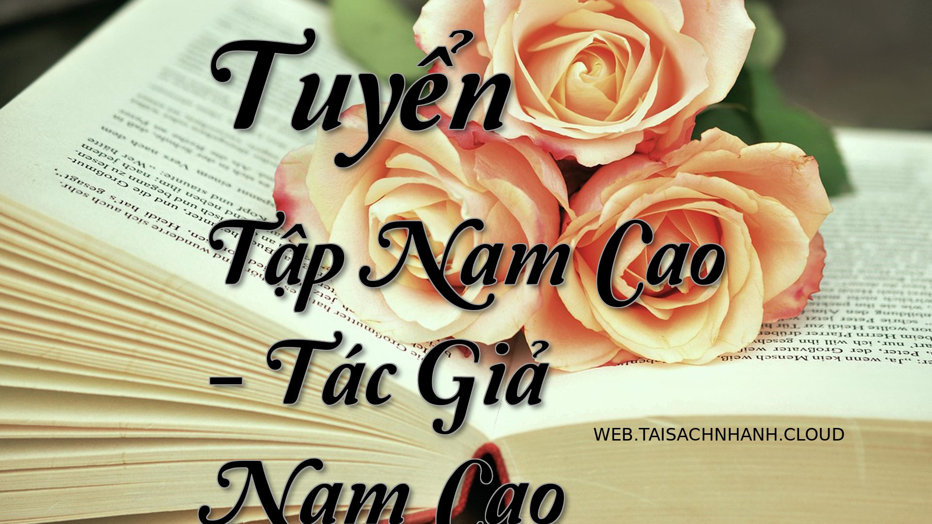 Cover Tuyen Tap Nam Cao.jpg