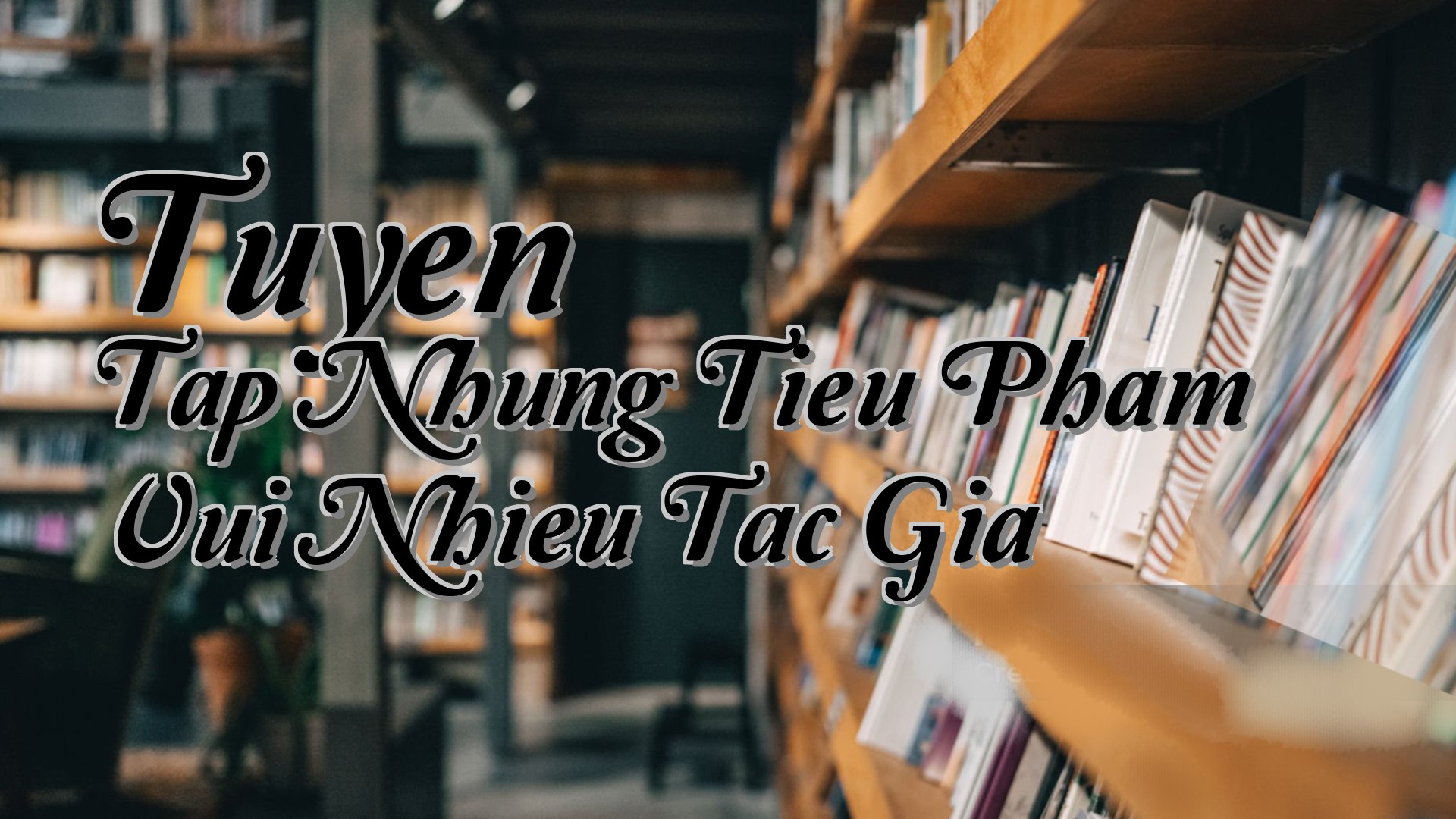cover-Tuyen Tap Nhung Tieu Pham Vui Nhieu Tac Gia