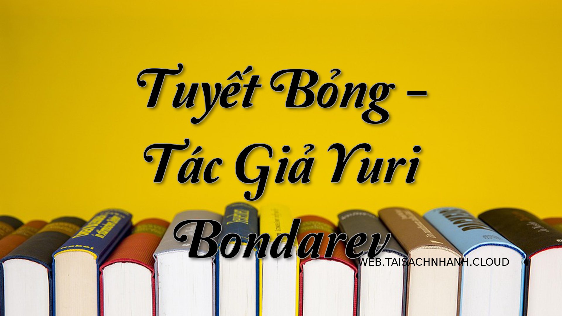 Cover Tuyet Bong.jpg