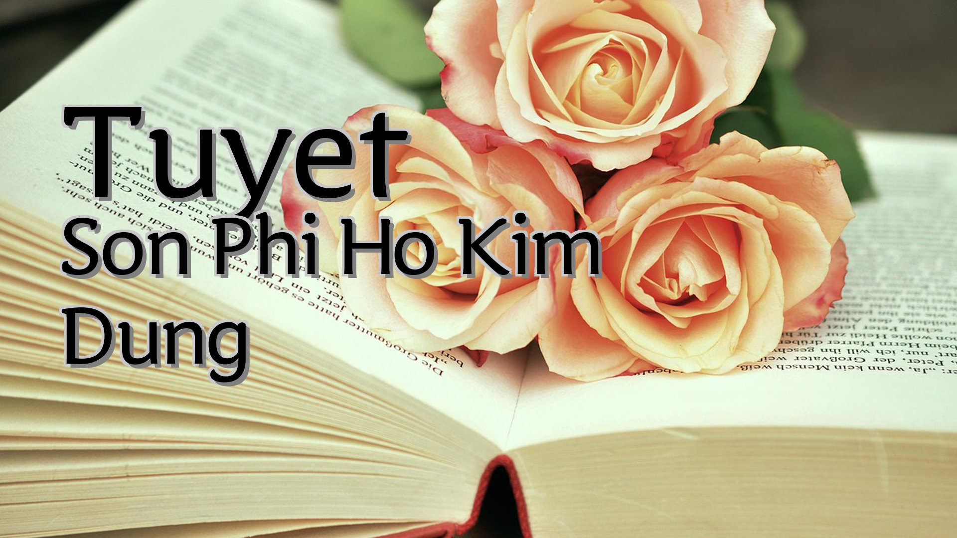 cover-Tuyet Son Phi Ho Kim Dung