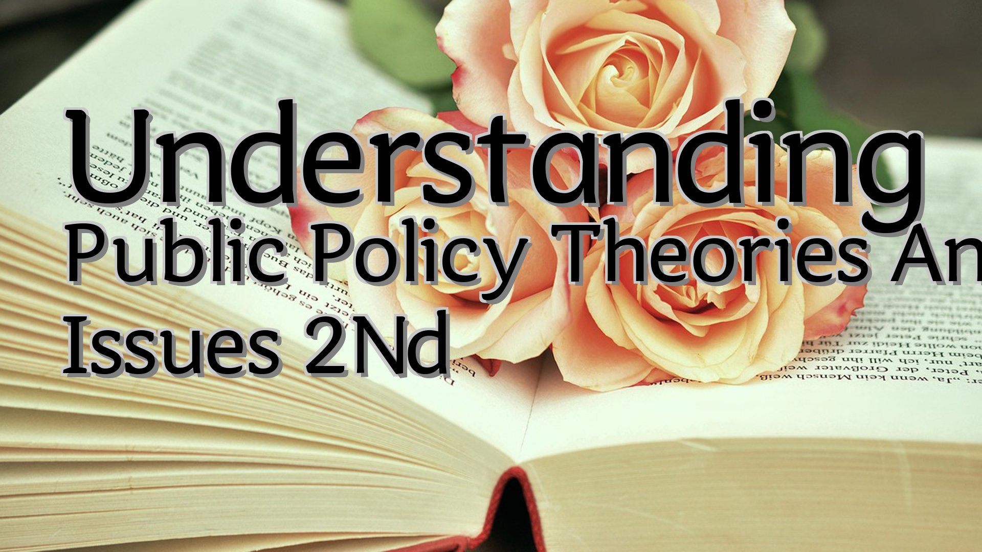 cover-Understanding Public Policy Theories And Issues 2Nd
