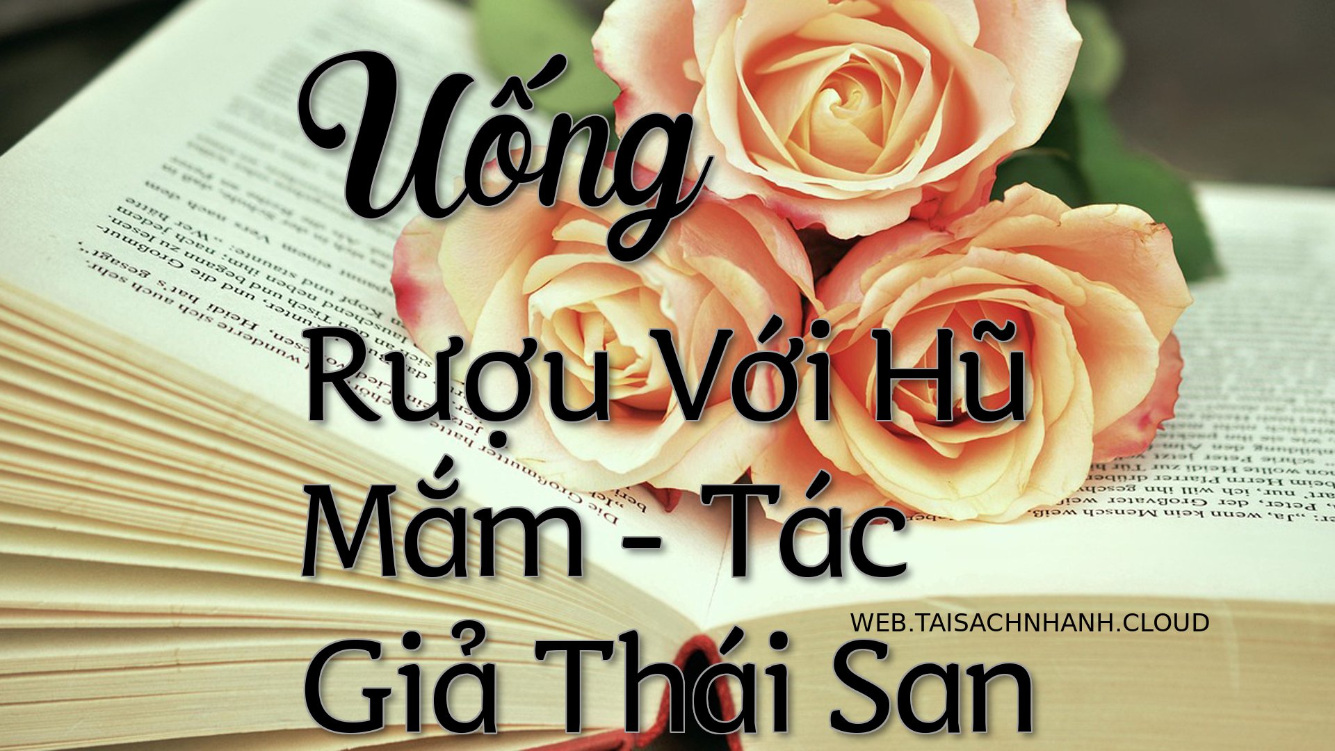 Cover Uong Ruou Voi Hu Mam.jpg