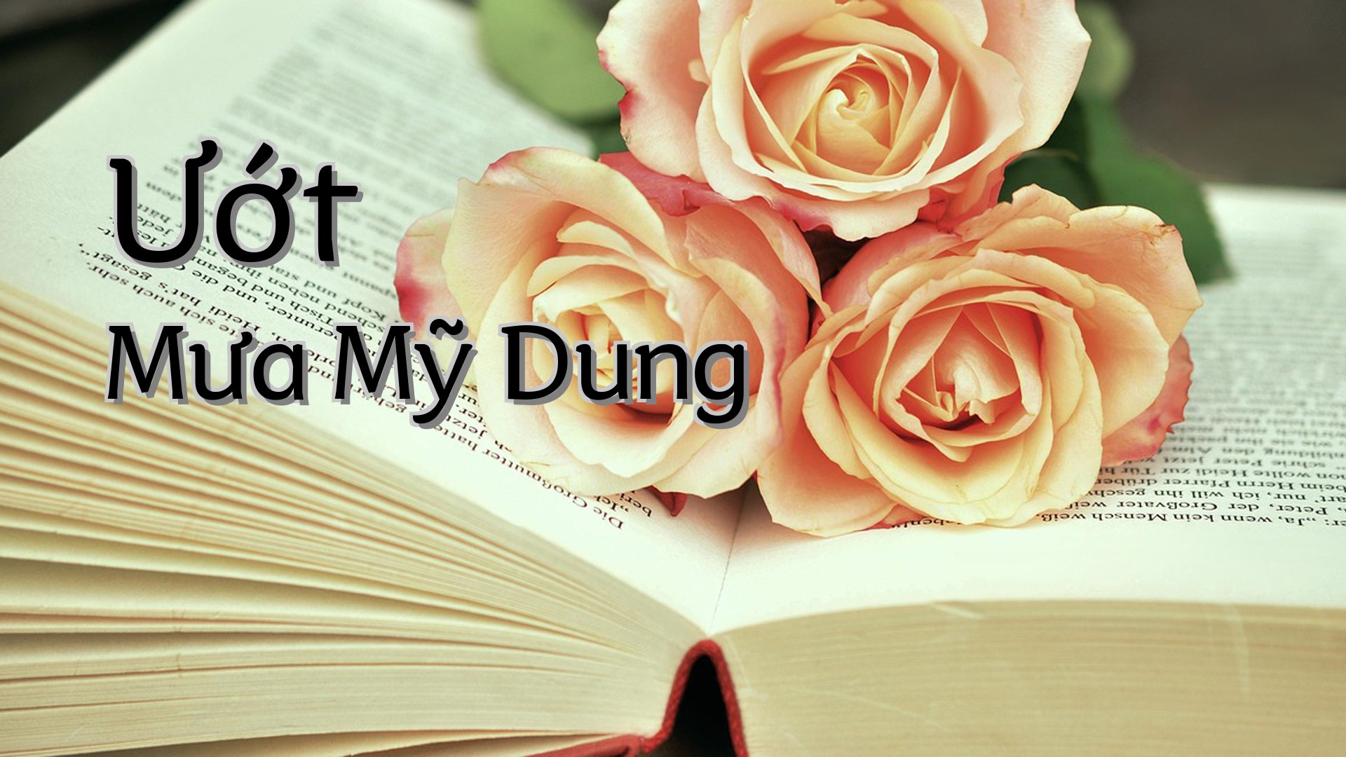 cover-Ướt Mưa Mỹ Dung