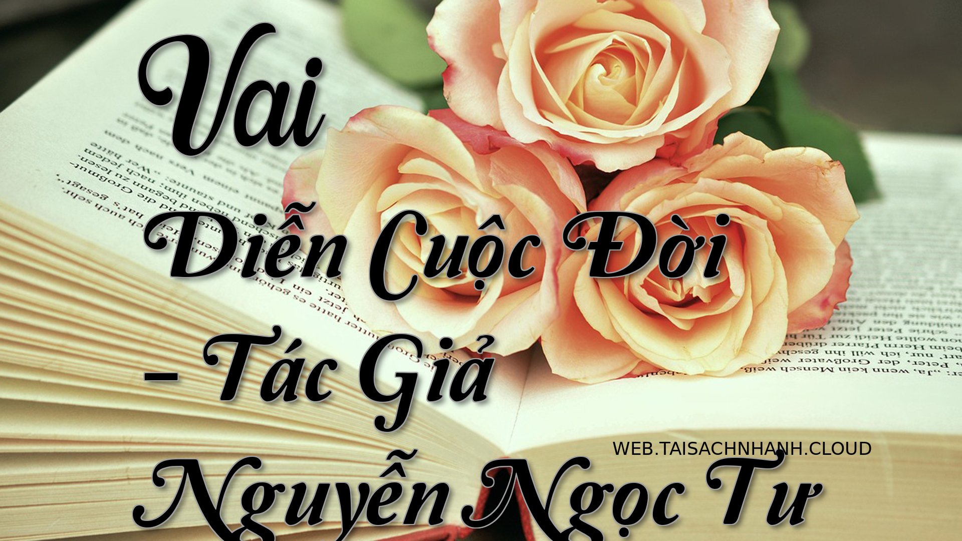 Cover Vai Dien Cuoc Doi.jpg