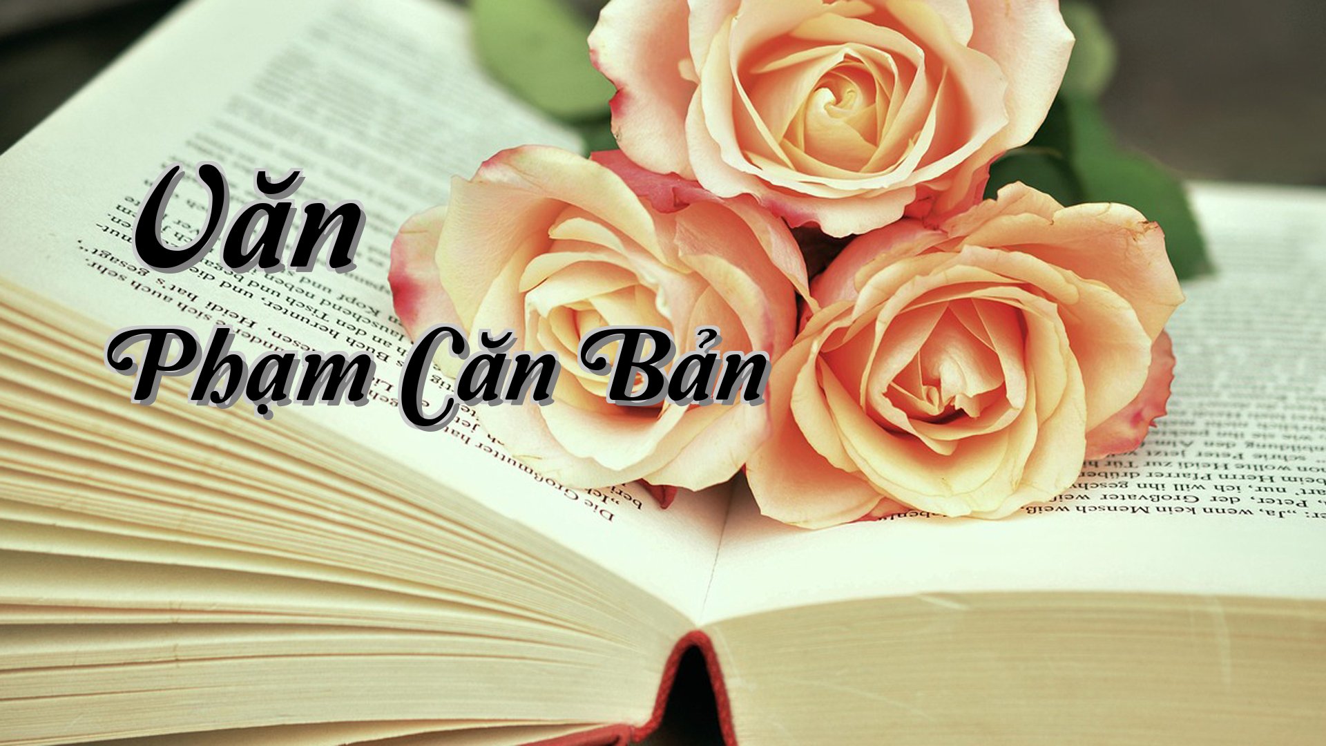 cover-Văn Phạm Căn Bản
