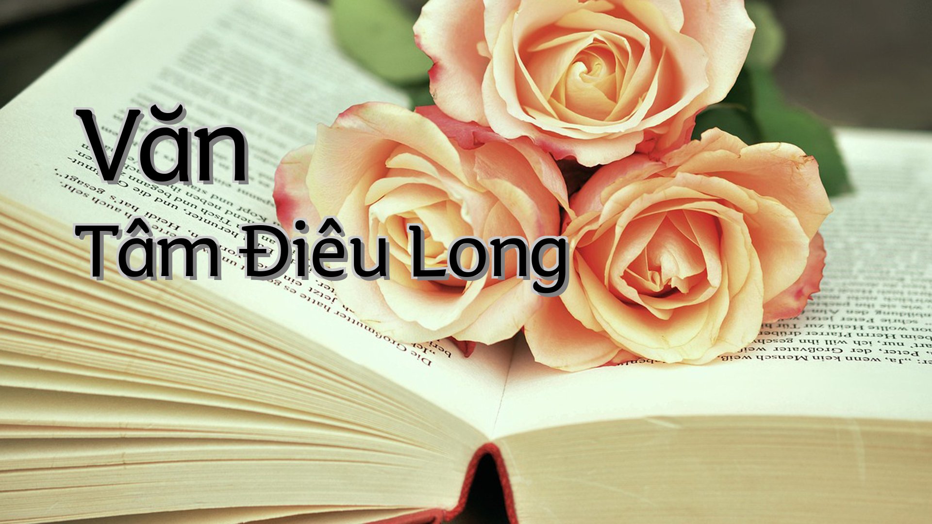 cover-Văn Tâm Điêu Long