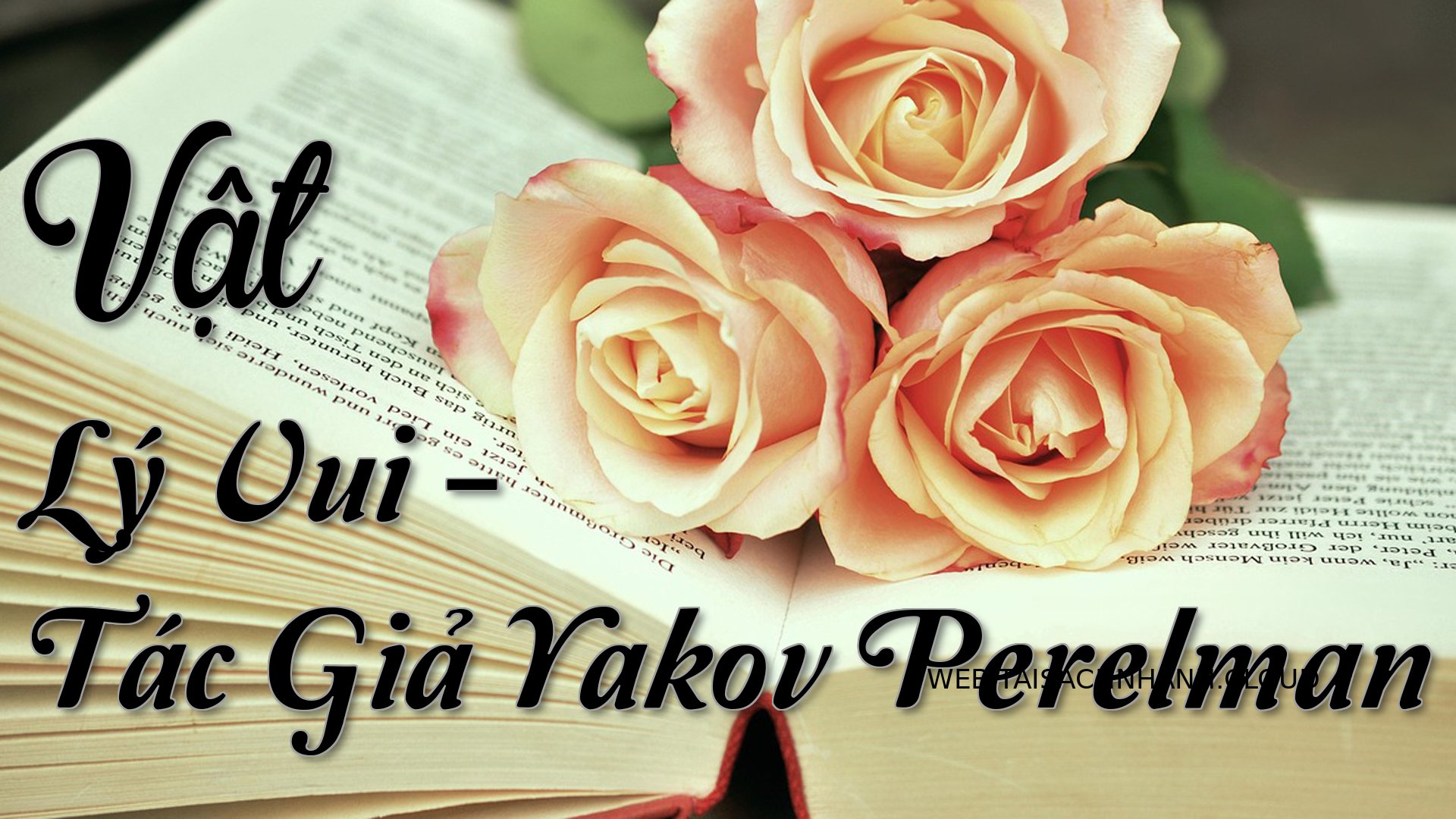 Cover Vat Ly Vui.jpg