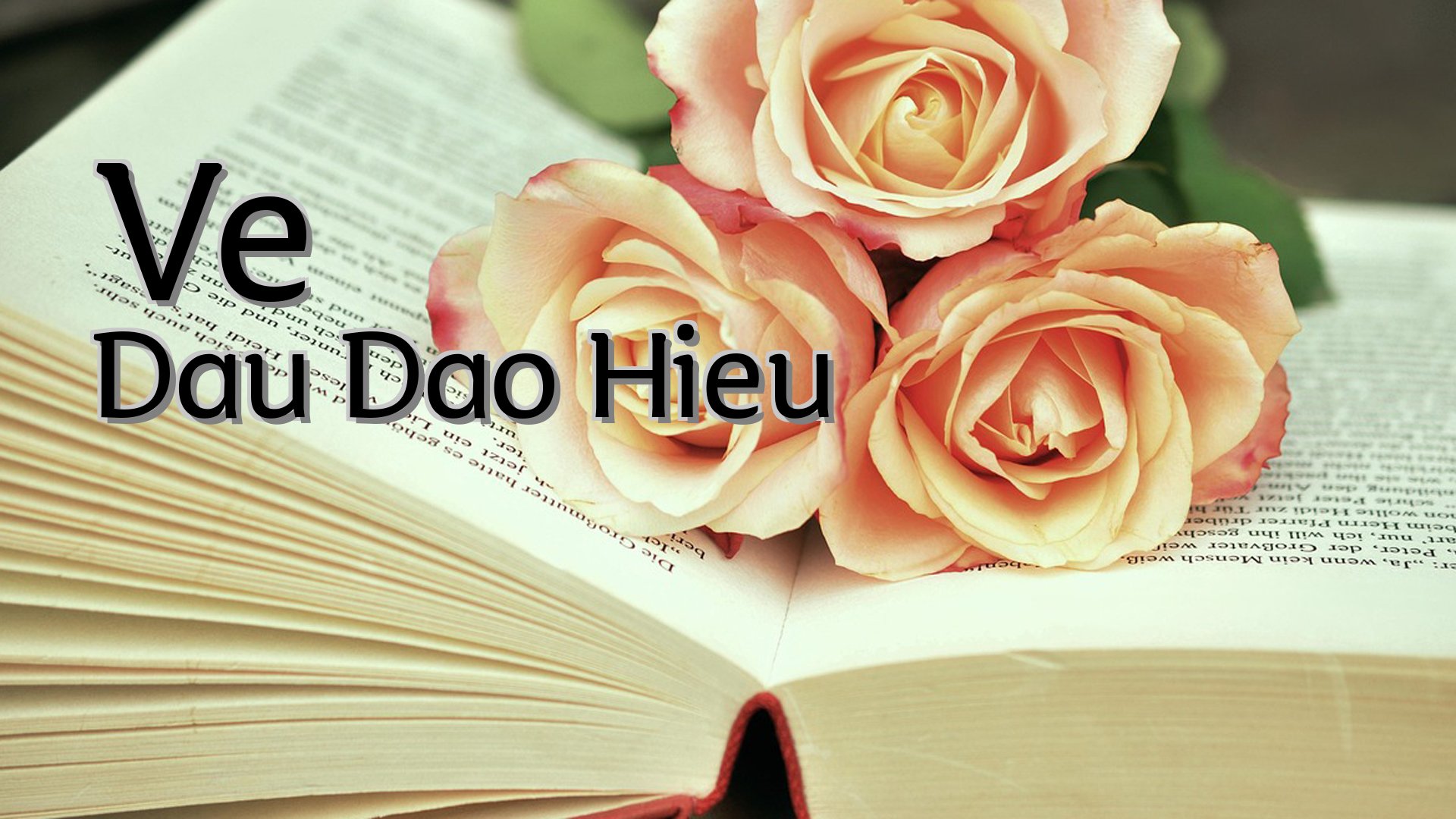 cover-Ve Dau Dao Hieu