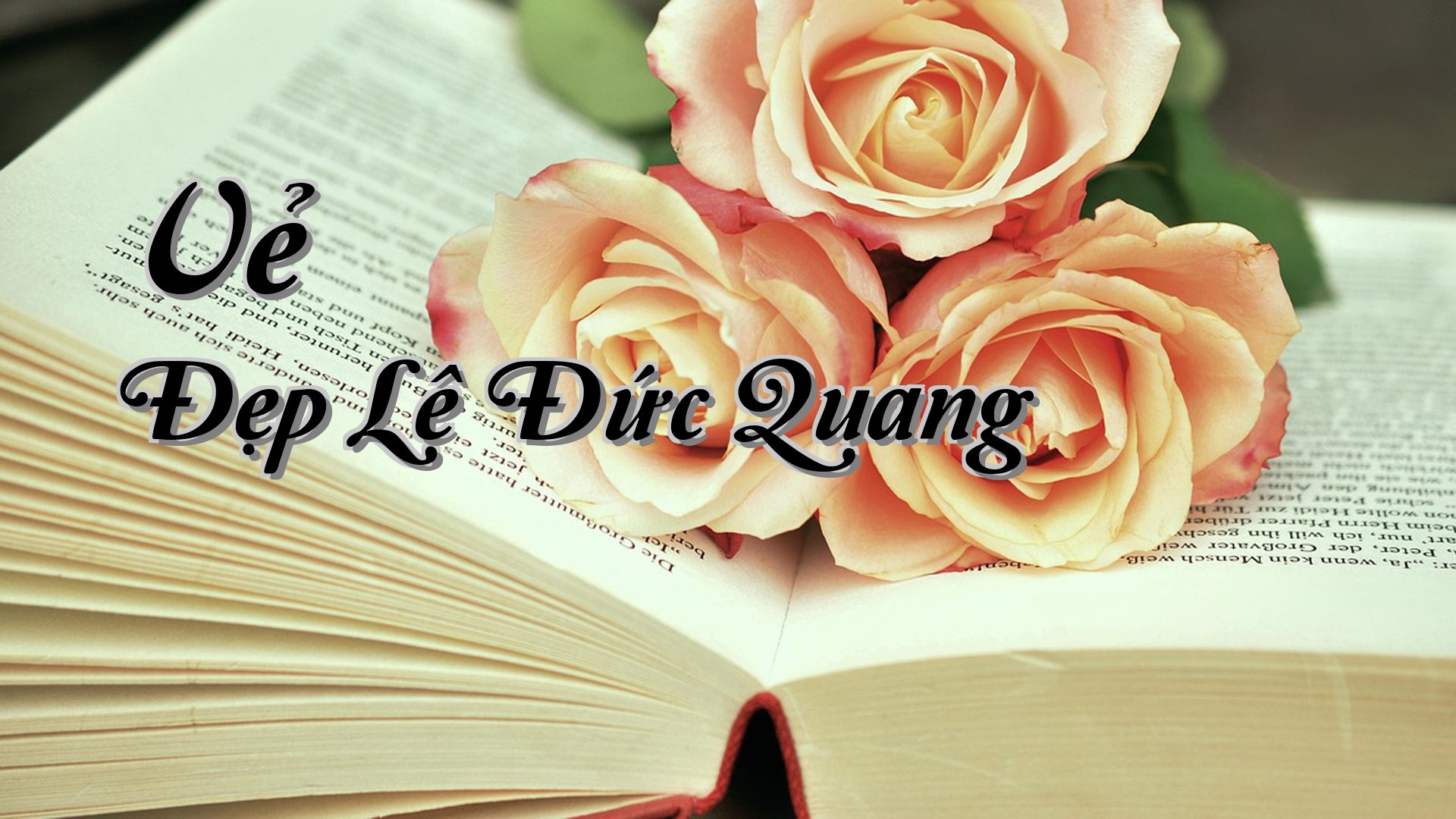 cover-Vẻ Đẹp Lê Đức Quang