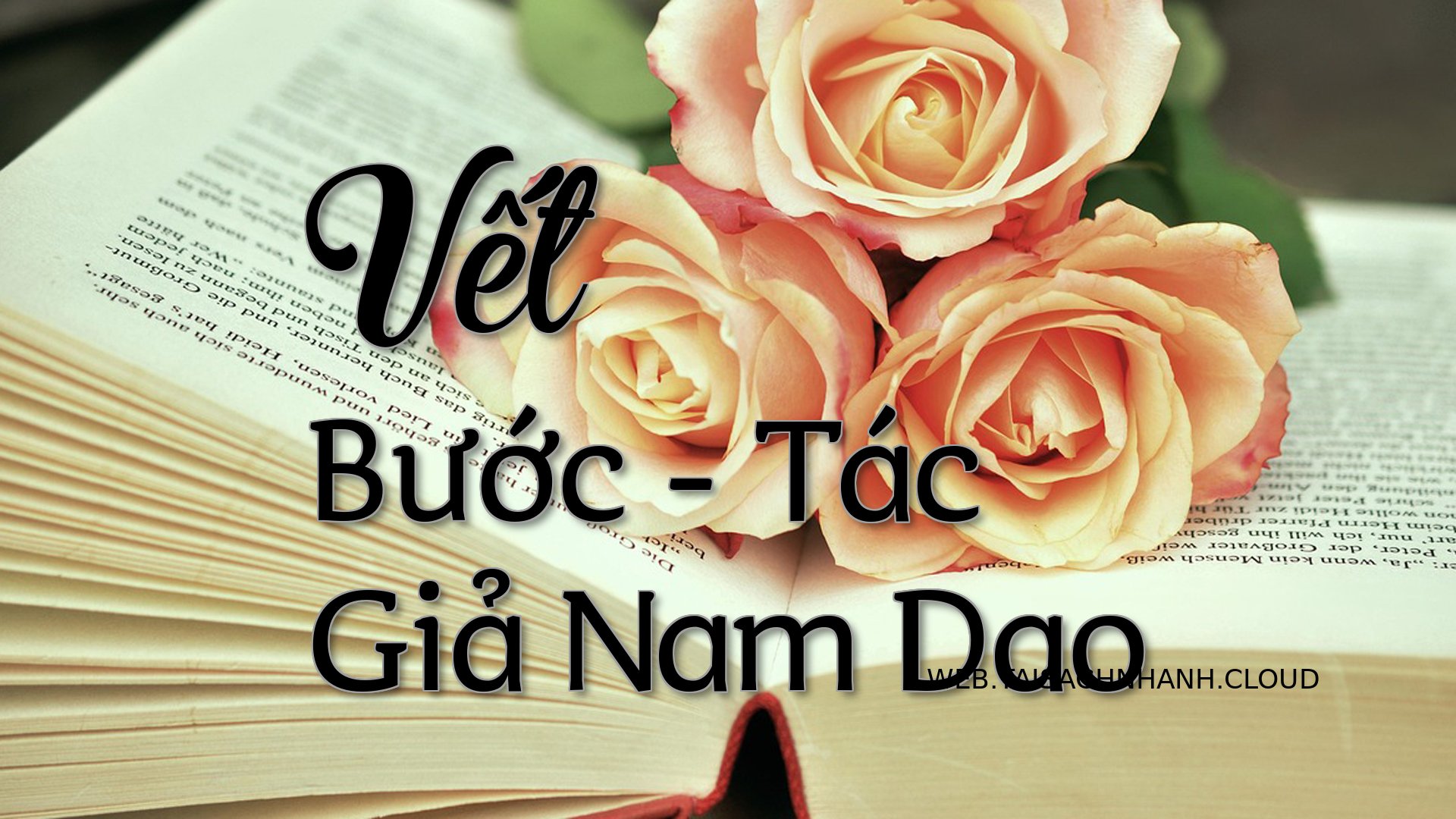 Cover Vet Buoc.jpg