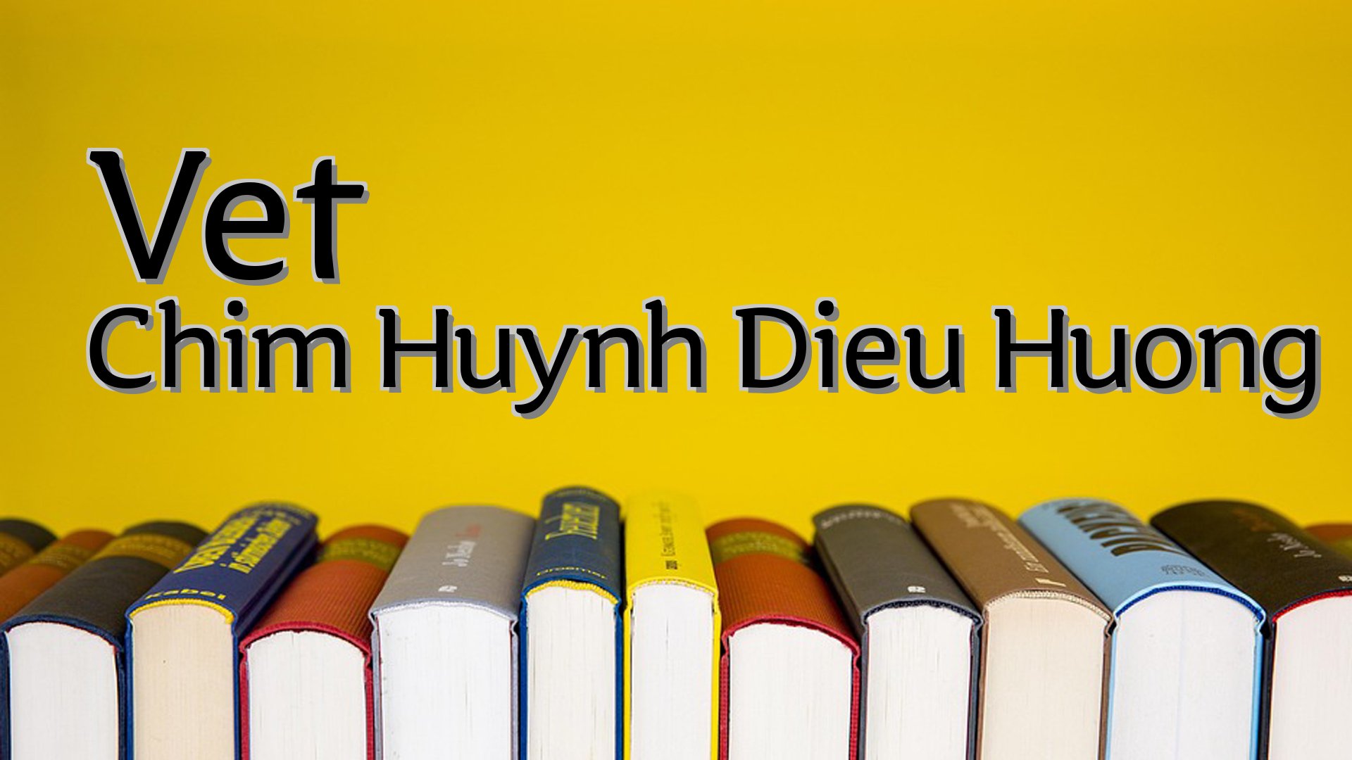cover-Vet Chim Huynh Dieu Huong