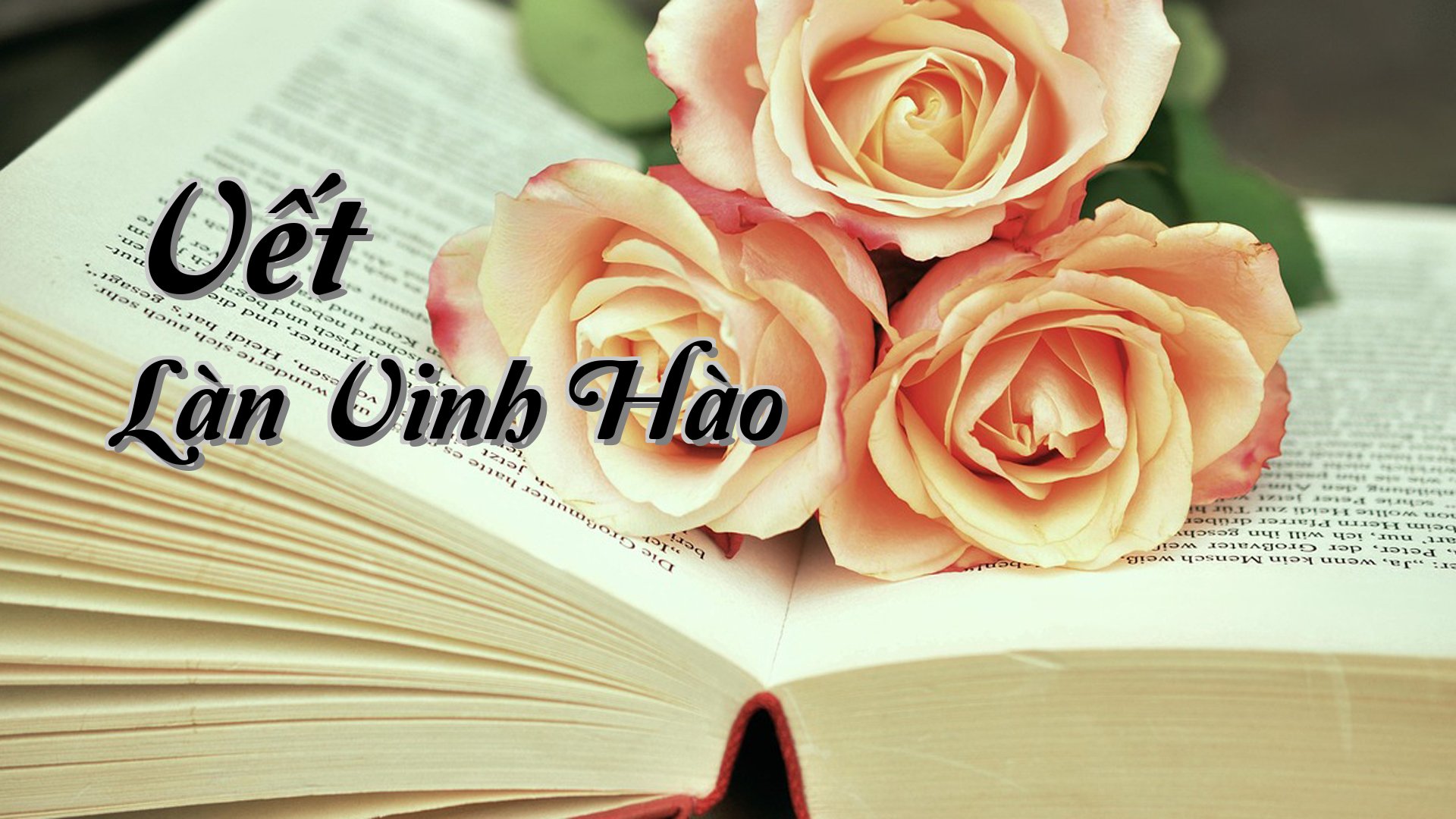 cover-Vết Làn Vinh Hào