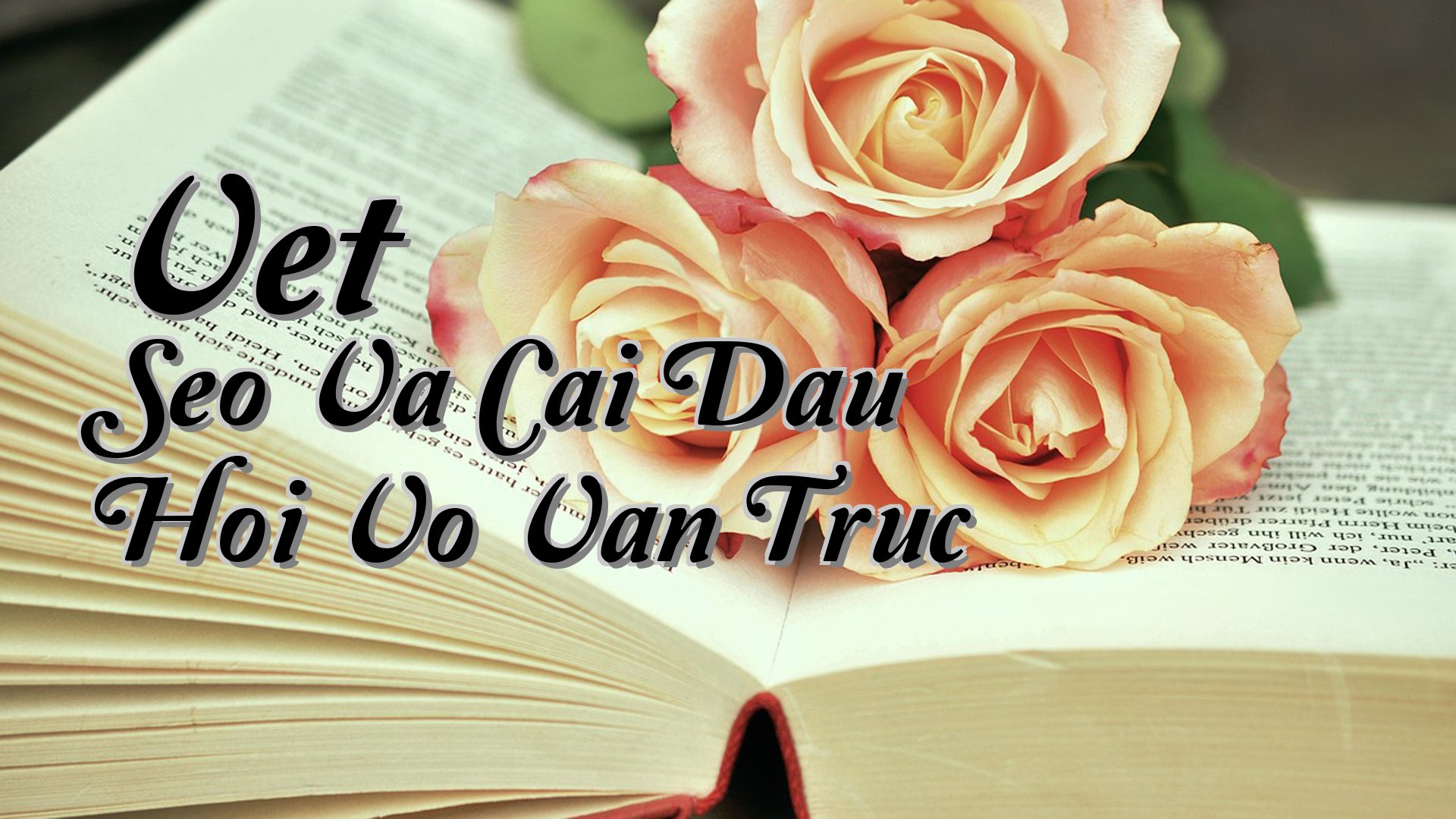 cover-Vet Seo Va Cai Dau Hoi Vo Van Truc