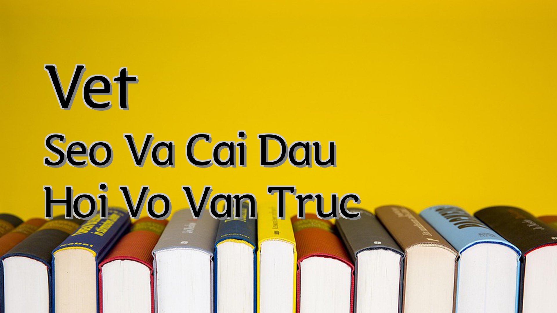 Cover image for Vet Seo Va Cai Dau Hoi Vo Van Truc