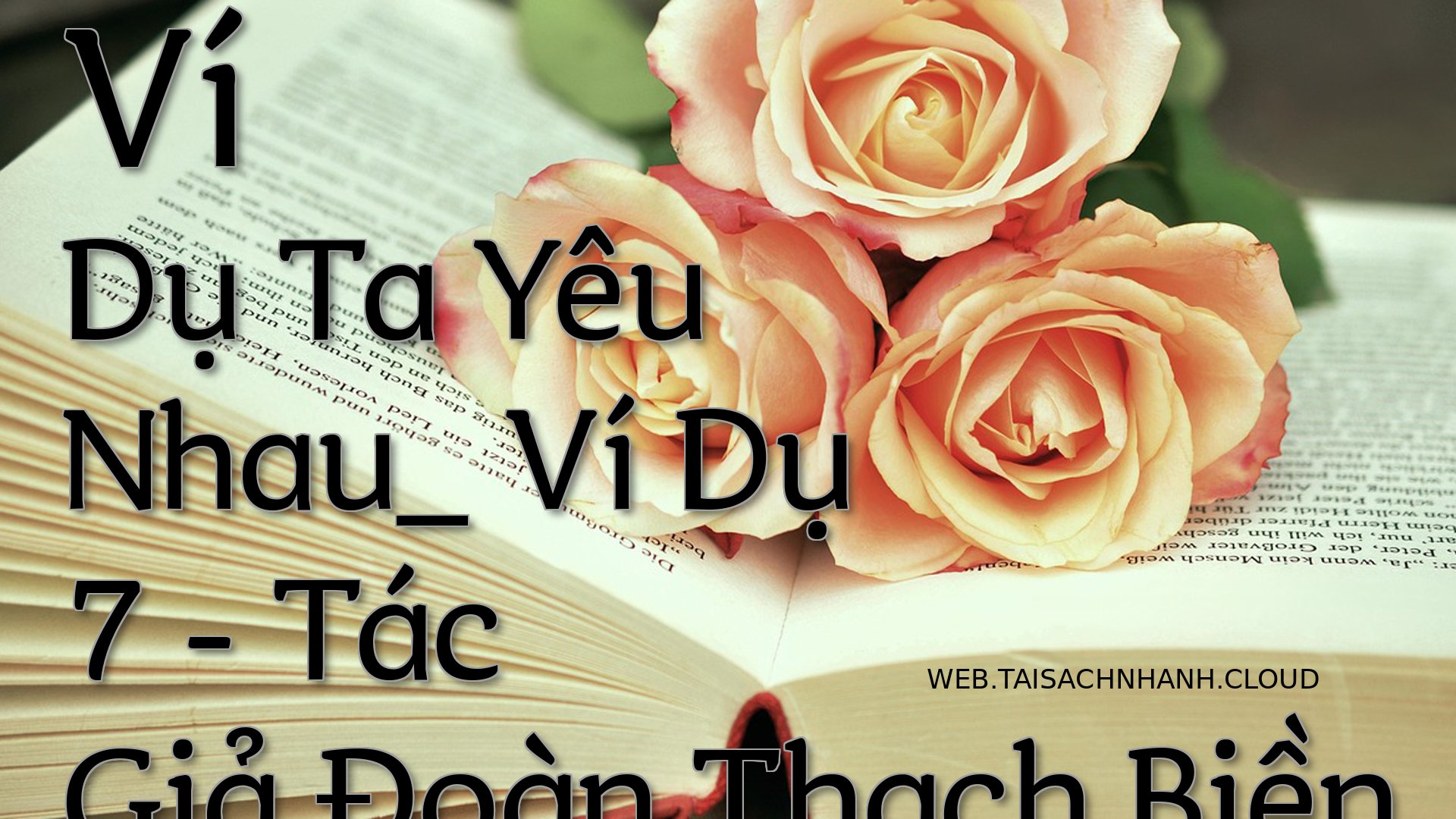 Cover Vi Du Ta Yeu Nhau V.jpg