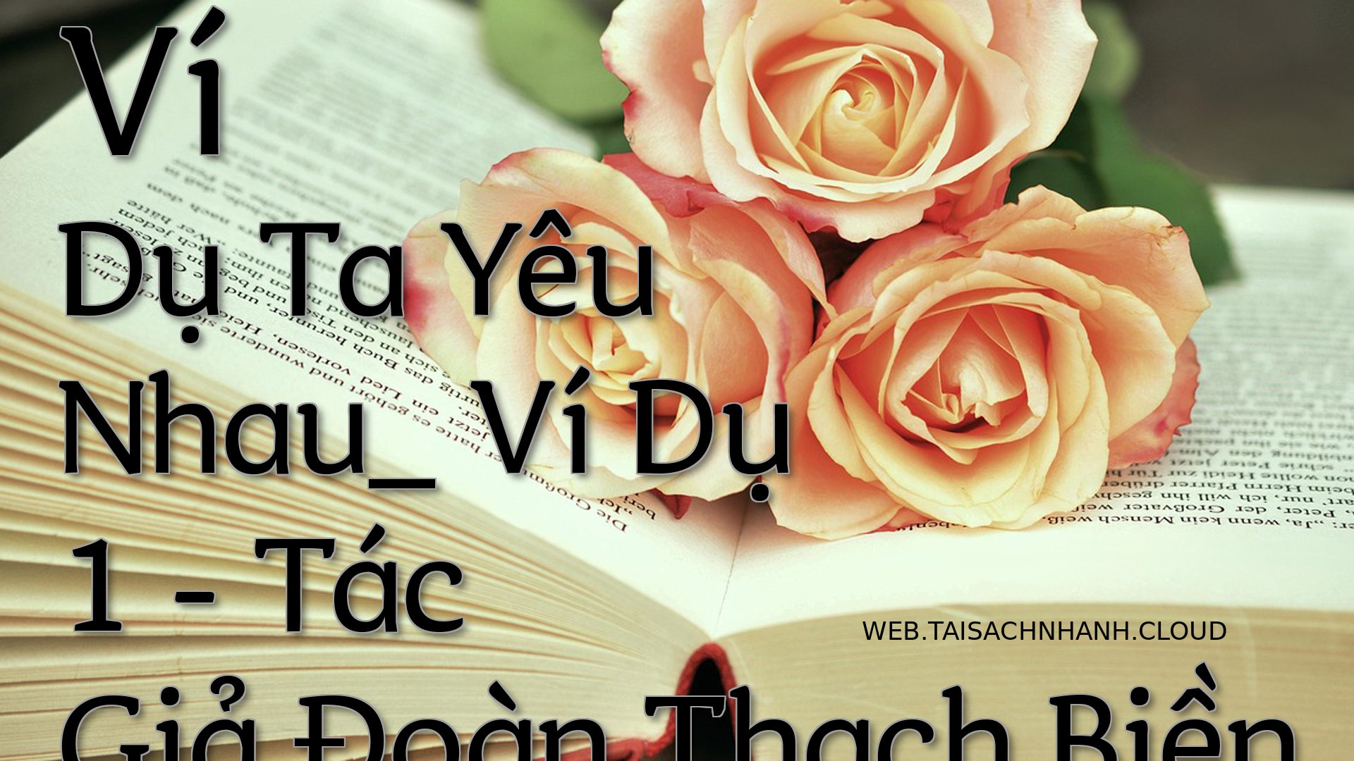 Cover Vi Du Ta Yeu Nhau V.jpg