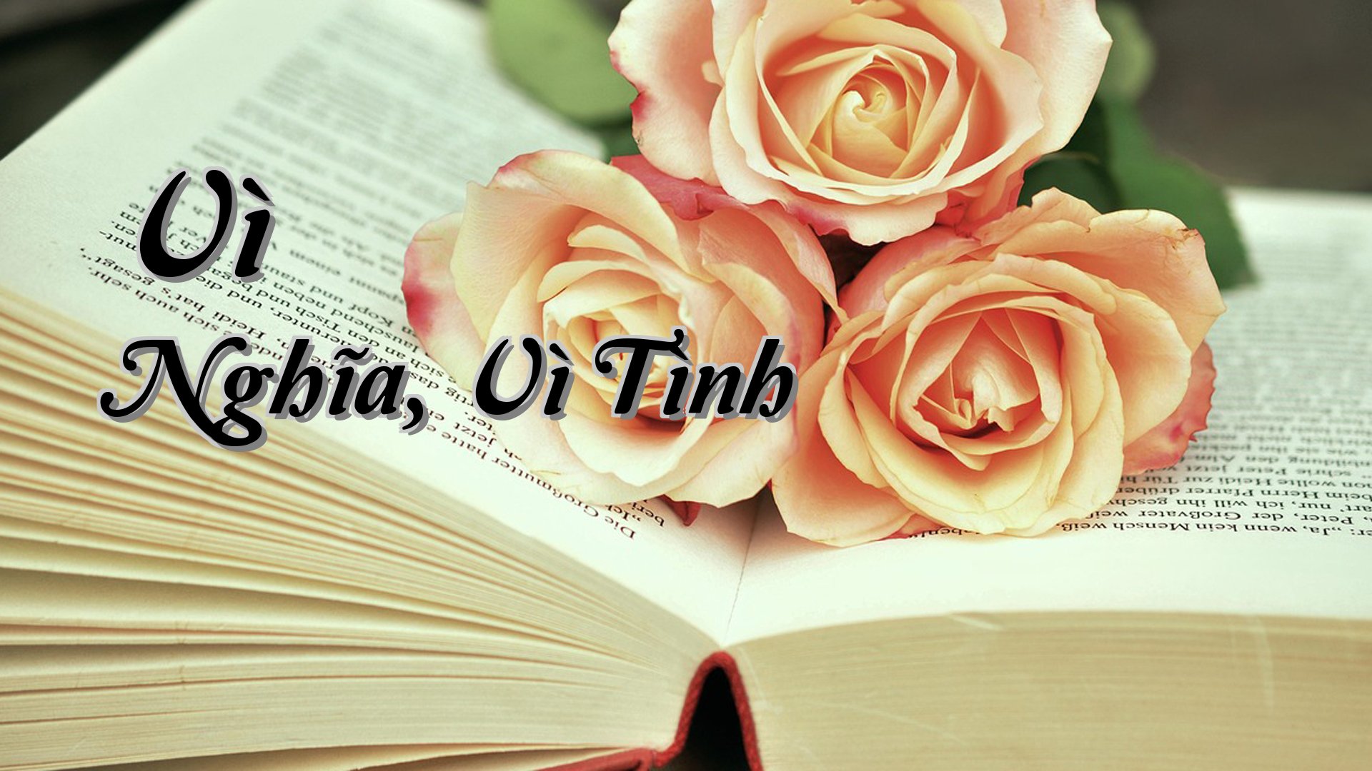 cover-Vì Nghĩa, Vì Tình