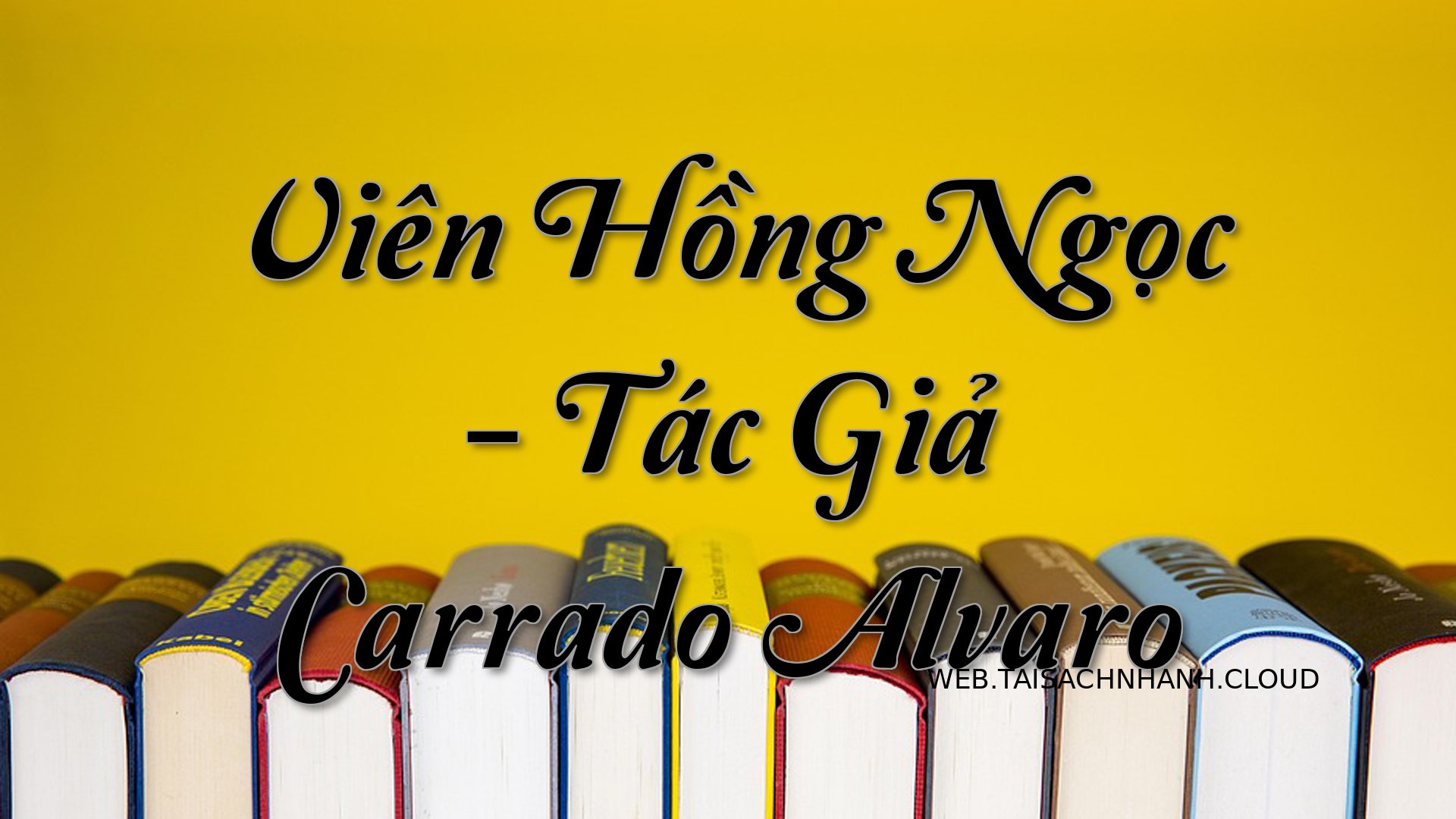 Cover Vien Hong Ngoc.jpg