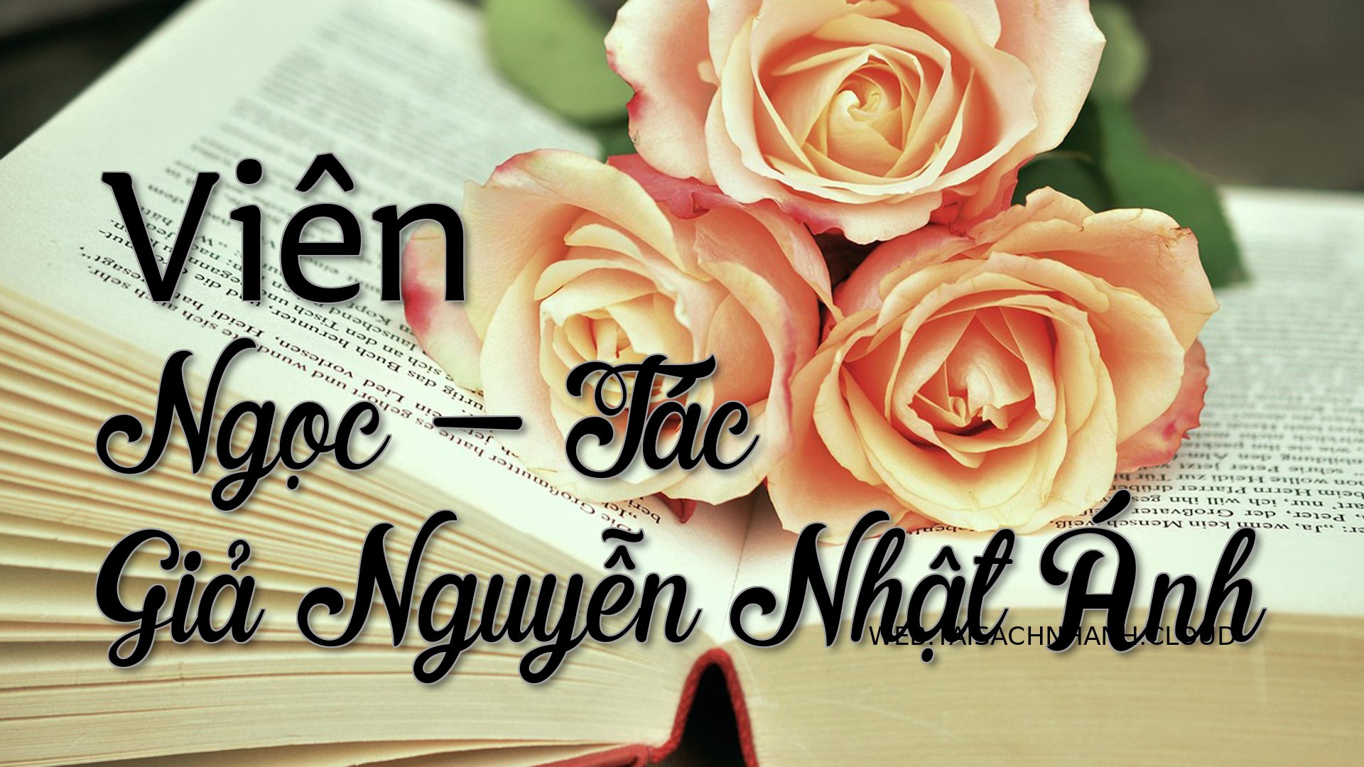 Cover Vien Ngoc.jpg