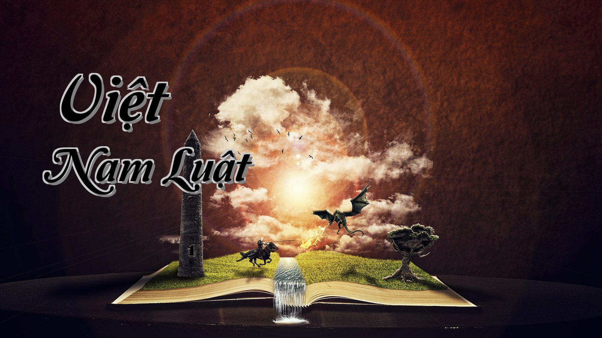 cover-Việt Nam Luật