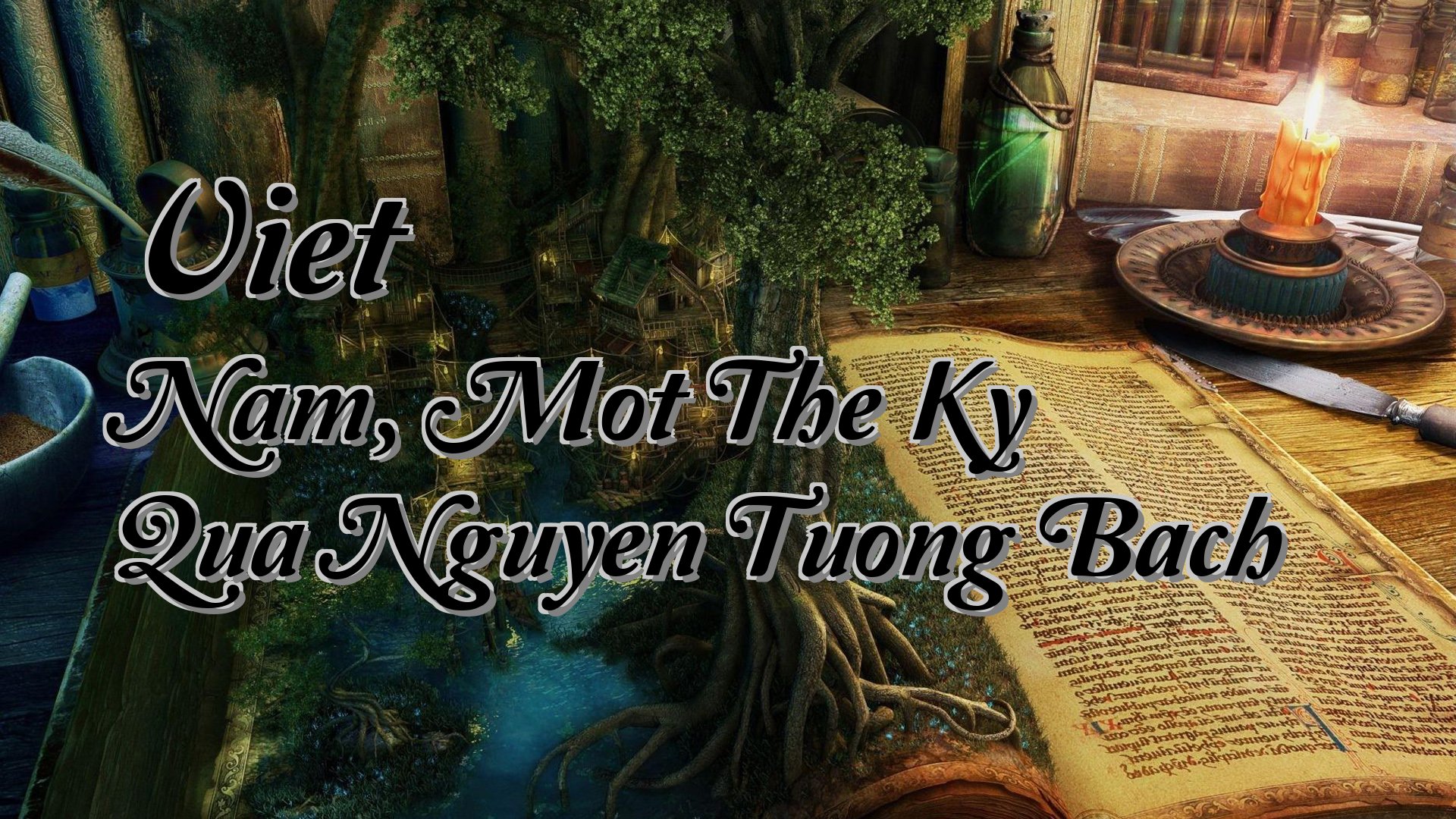 cover-Viet Nam, Mot The Ky Qua Nguyen Tuong Bach
