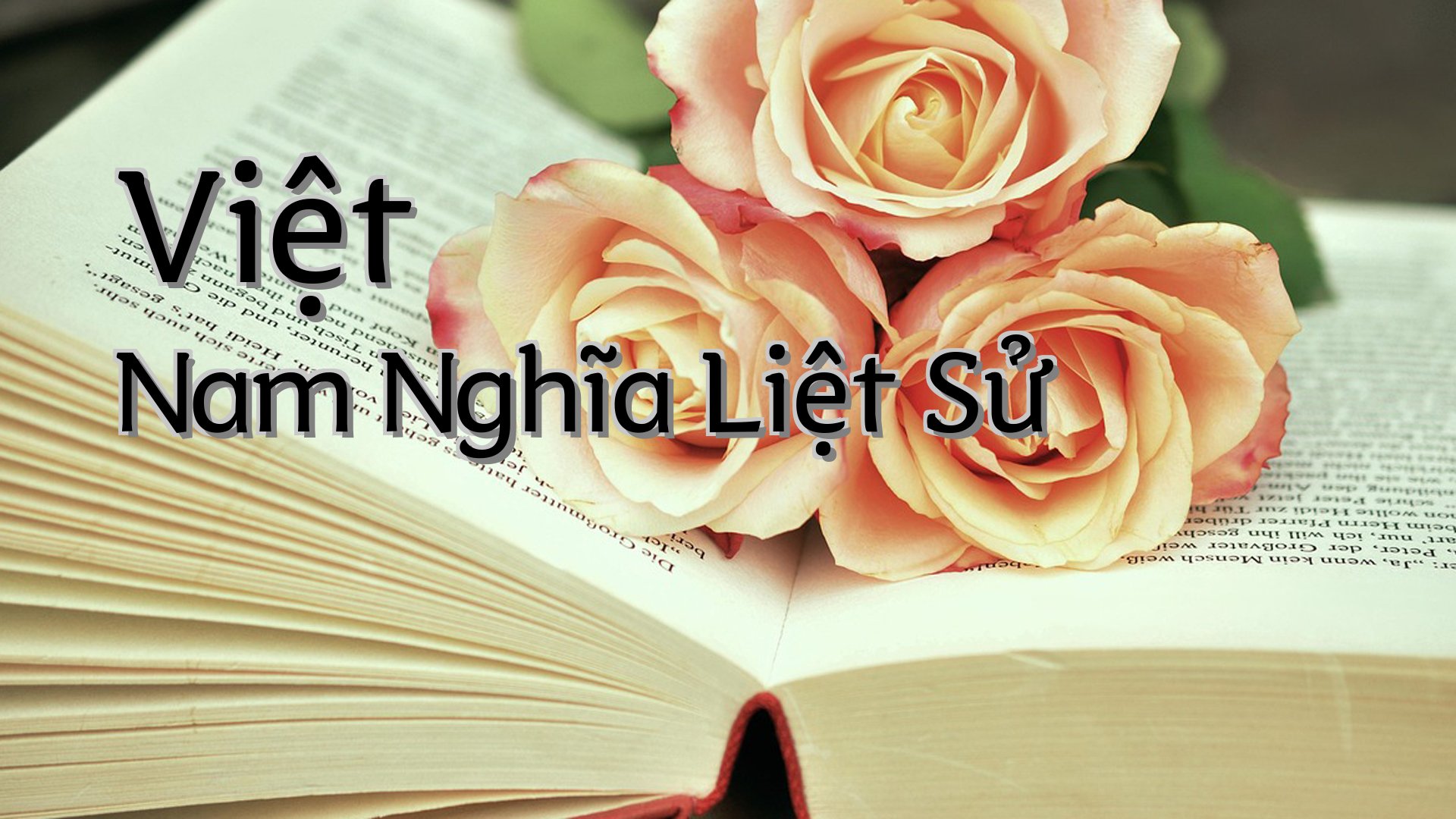 cover-Việt Nam Nghĩa Liệt Sử