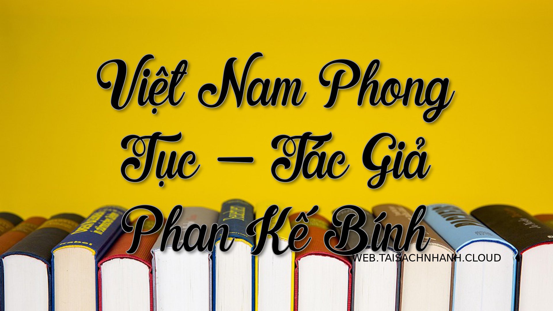 Cover Viet Nam Phong Tuc29.jpg