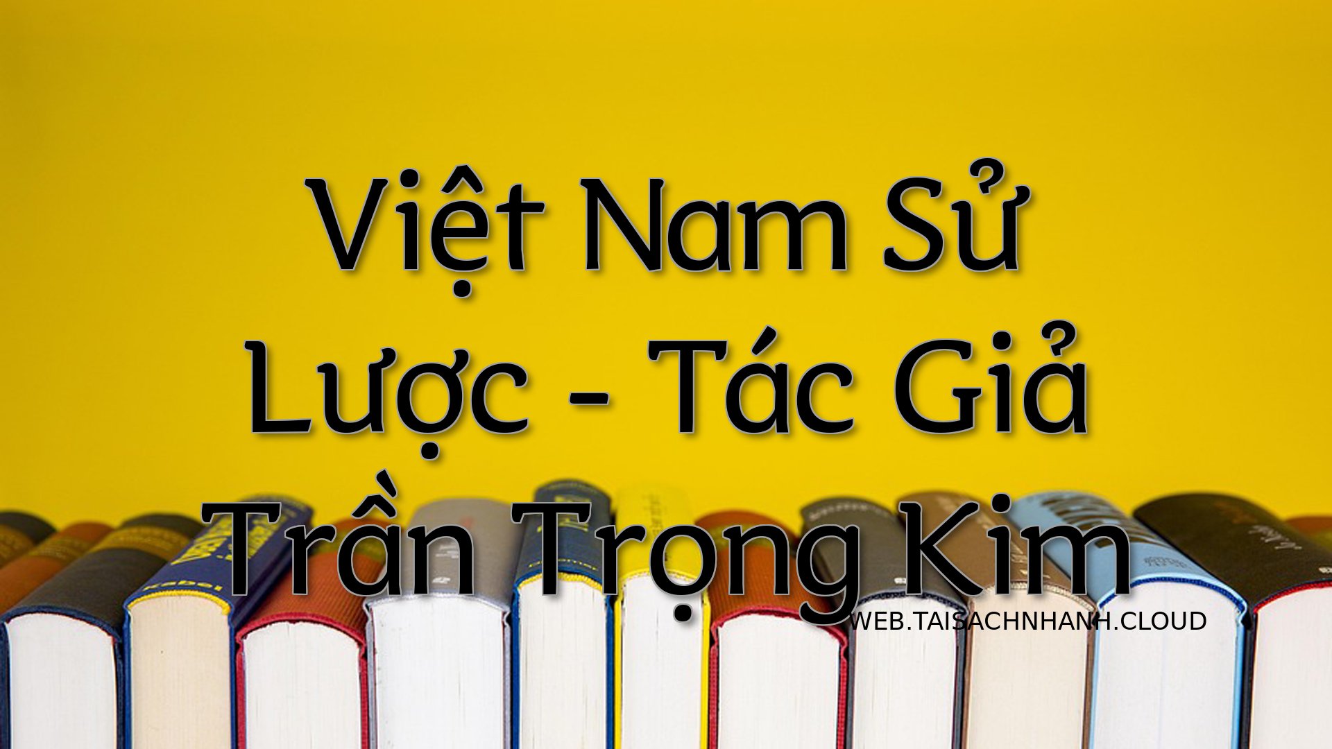Cover Viet Nam Su Luoc.jpg
