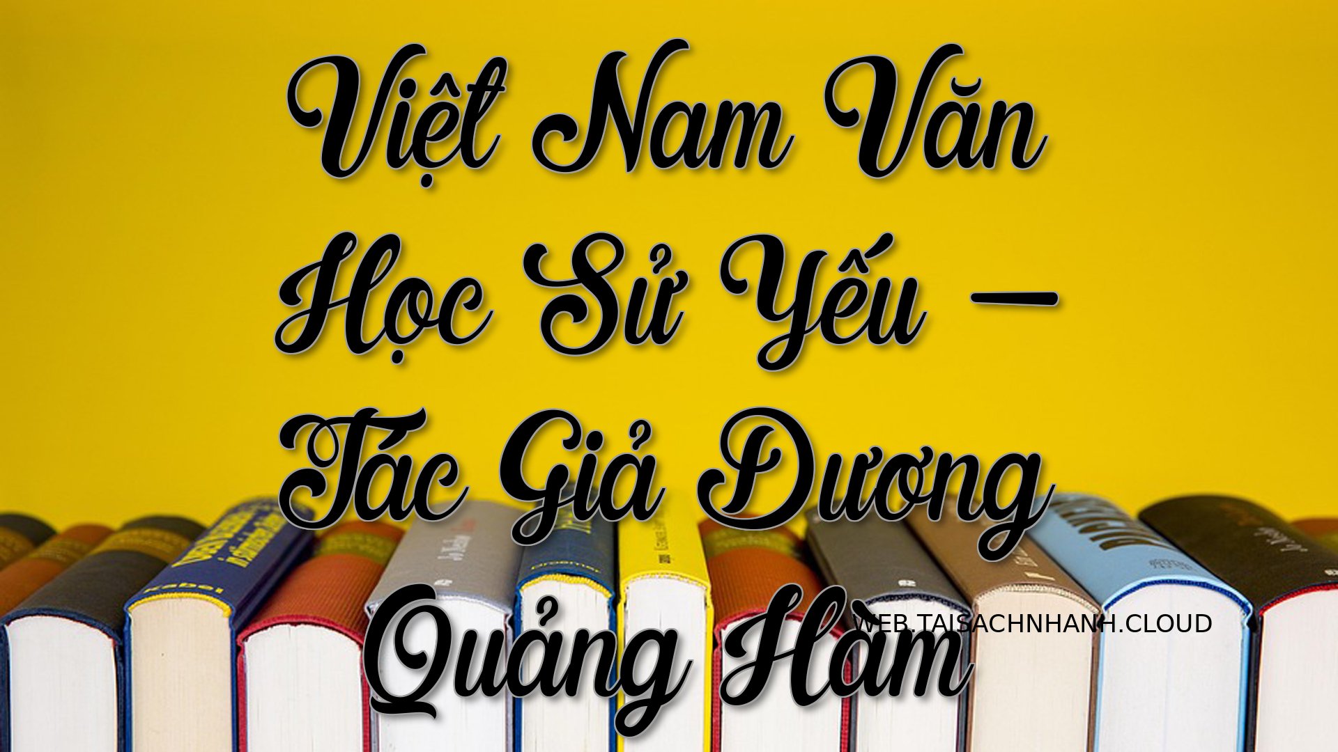 Cover Viet Nam Van Hoc Su .jpg