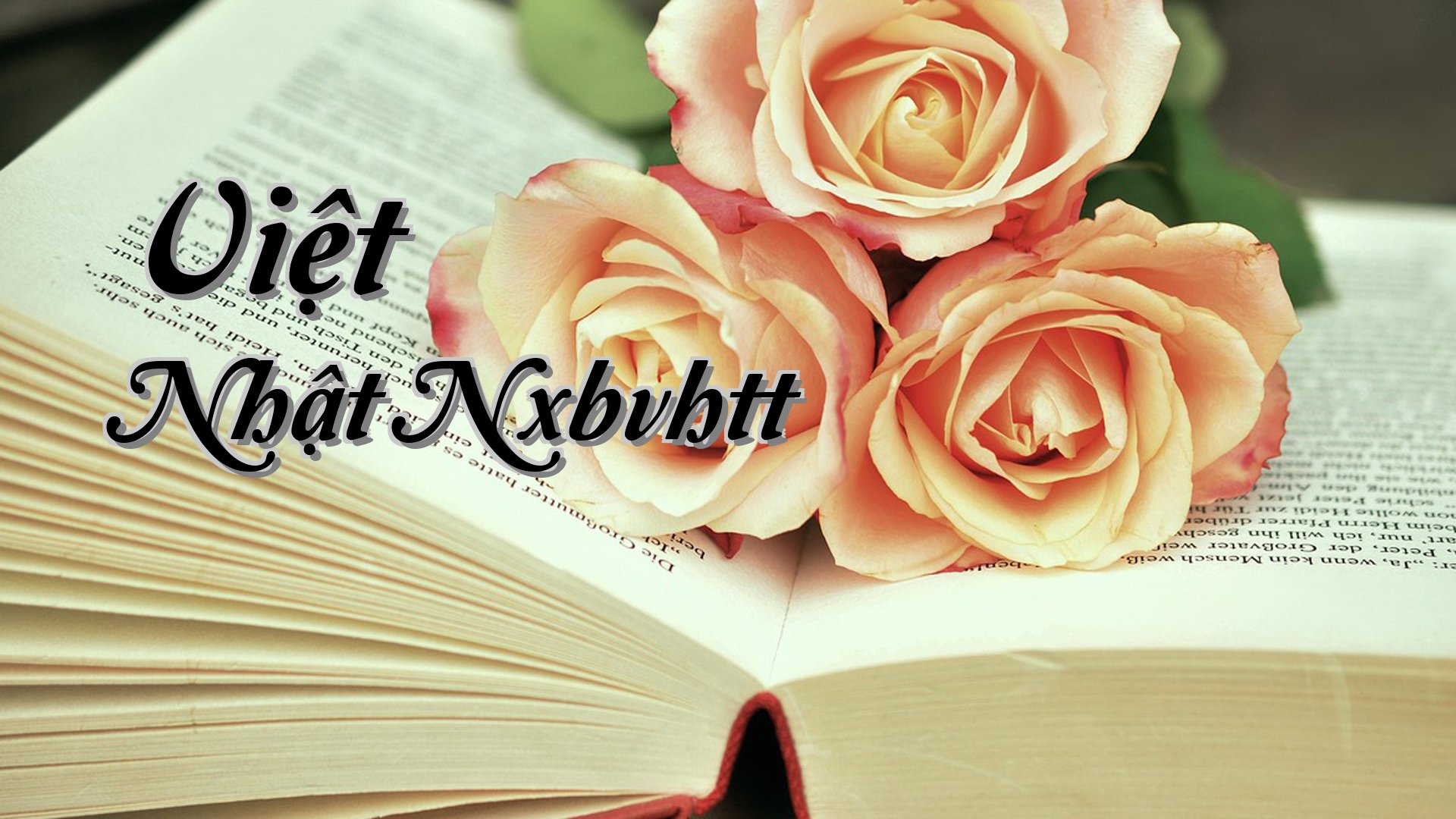 cover-Việt Nhật Nxbvhtt