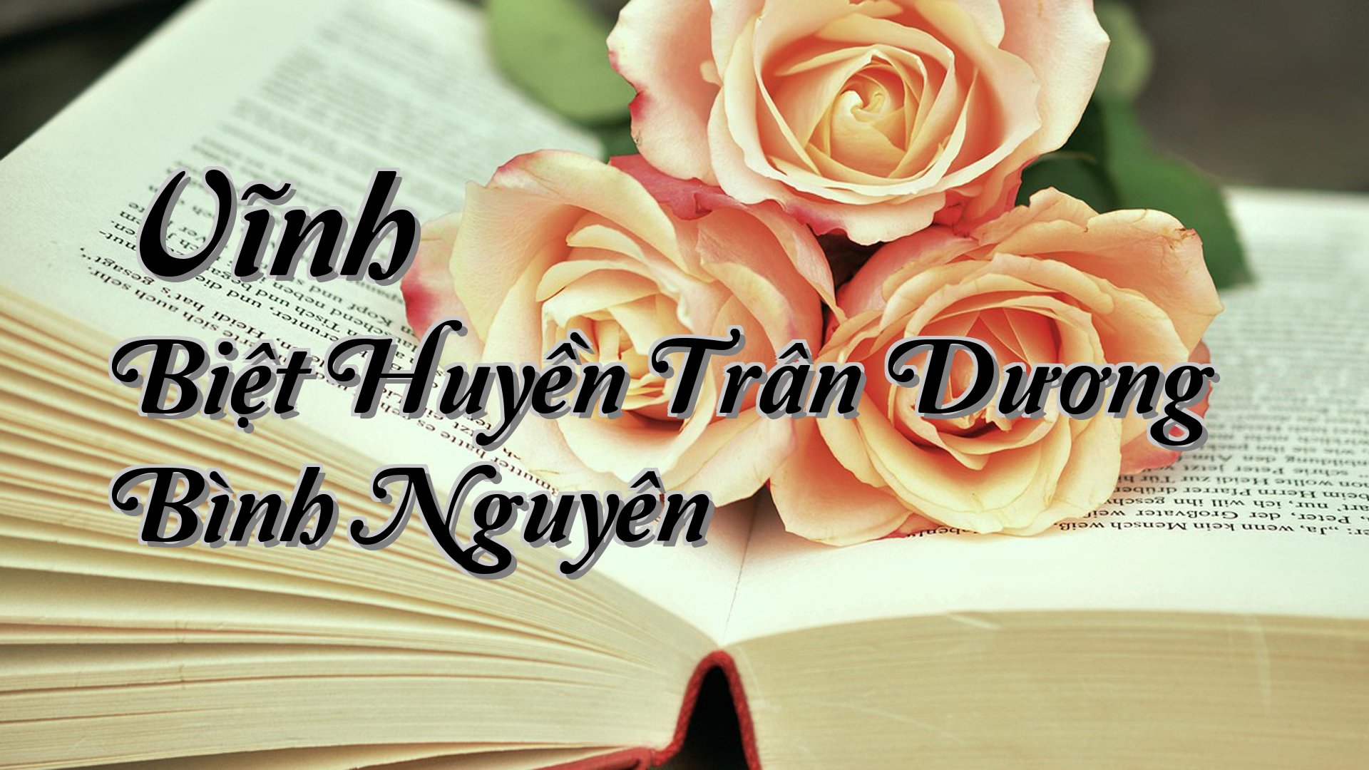 cover-Vĩnh Biệt Huyền Trân Dương Bình Nguyên