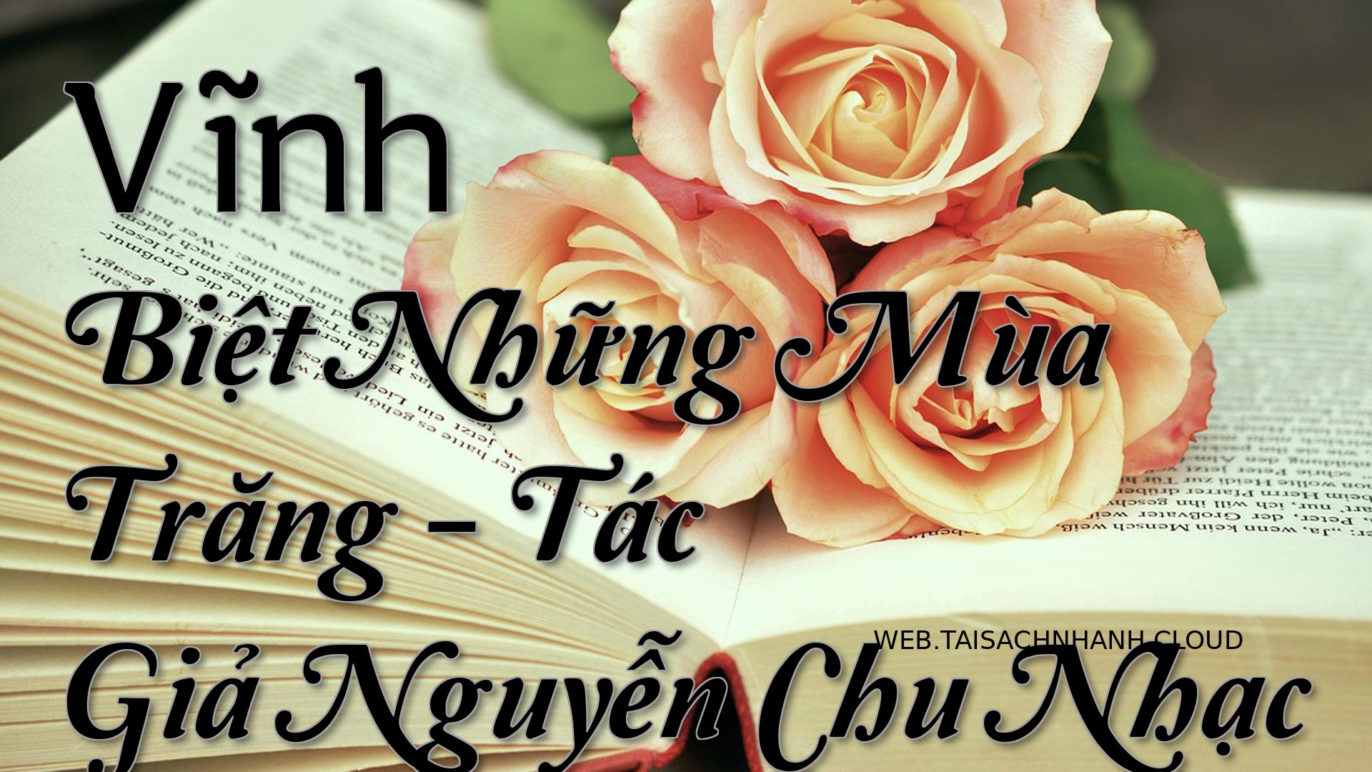 Cover Vinh Biet Nhung Mua .jpg