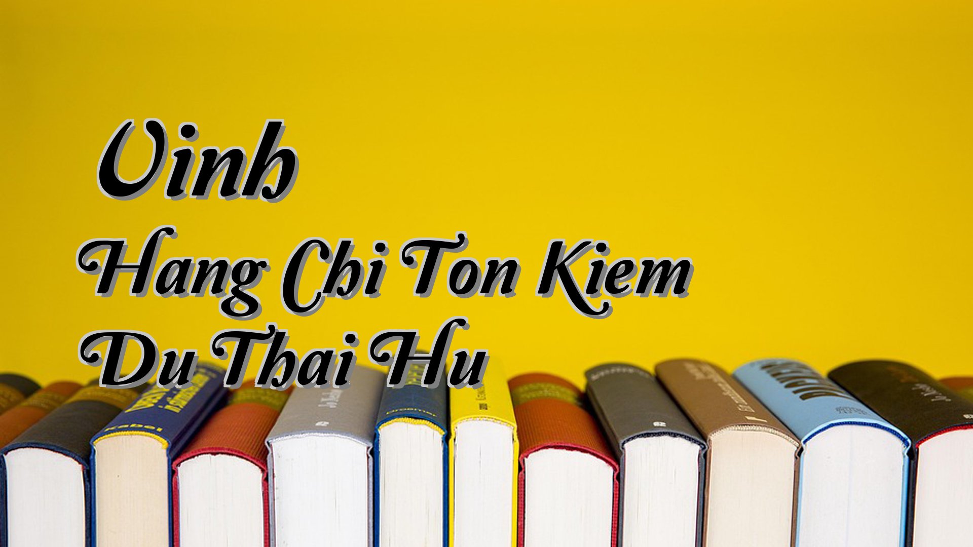 Cover image for Vinh Hang Chi Ton Kiem Du Thai Hu