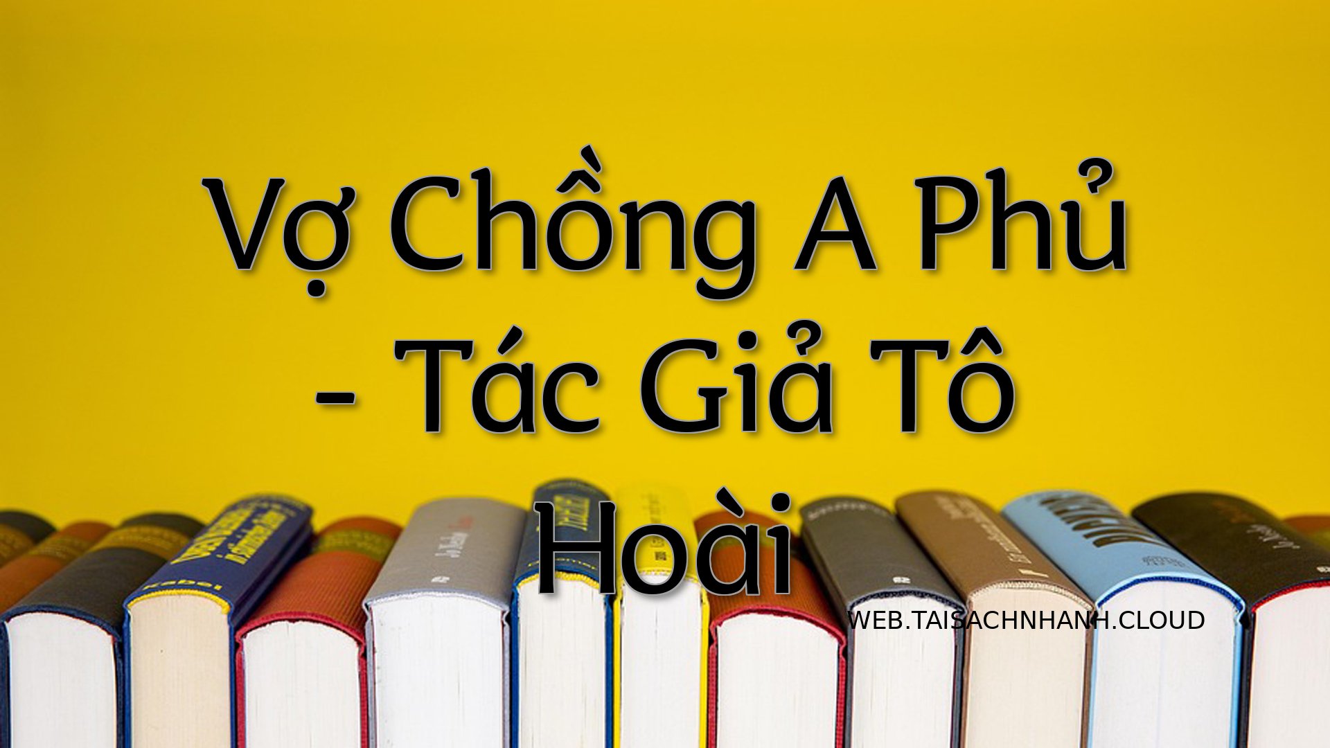 Cover Vo Chong A Phu.jpg