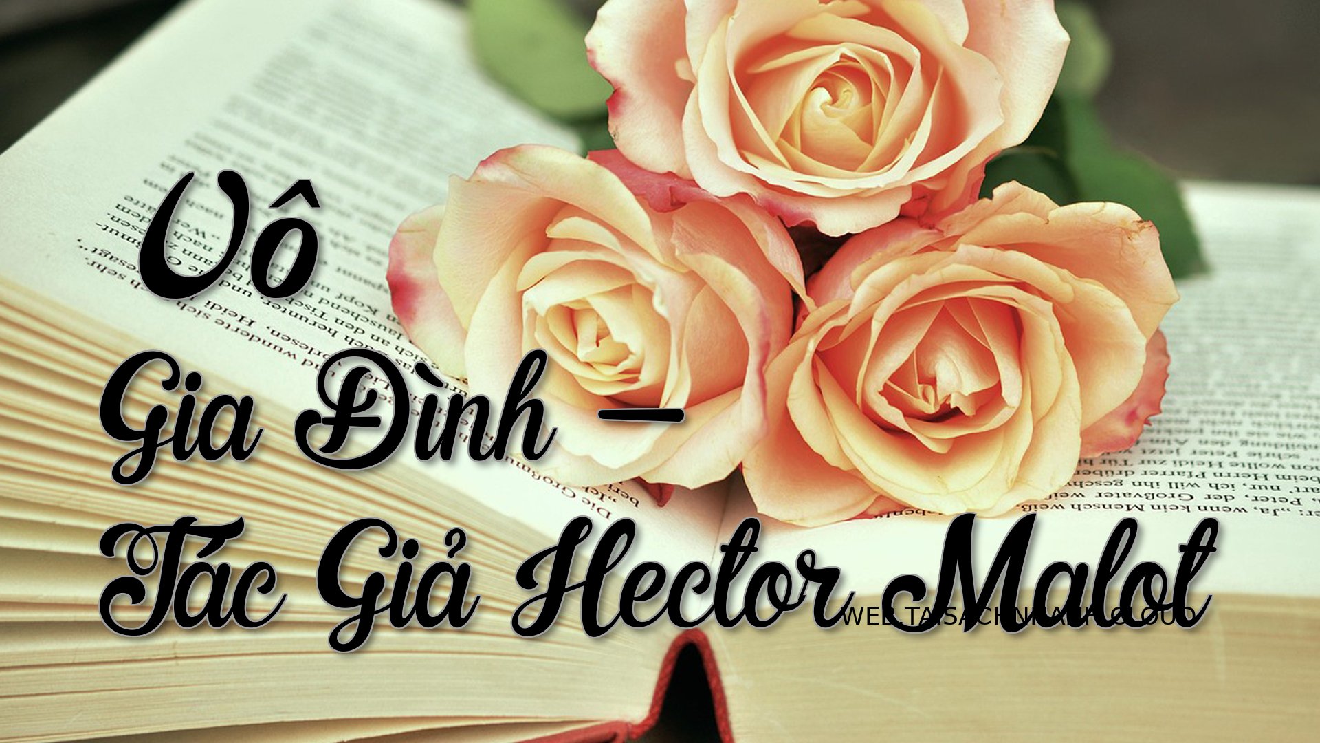 Cover Vo Gia Dinh.jpg