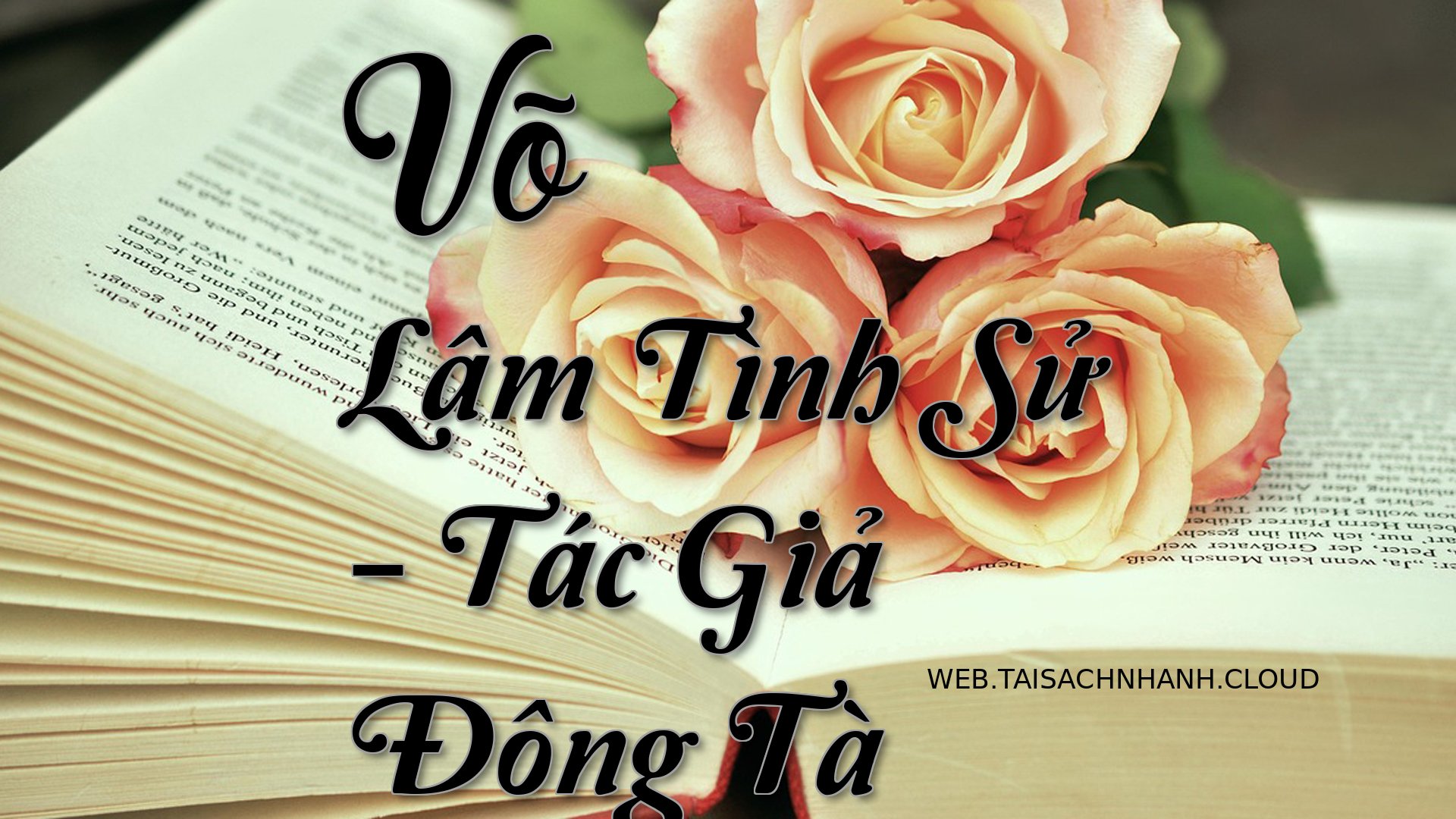 Cover Vo Lam Tinh Su.jpg