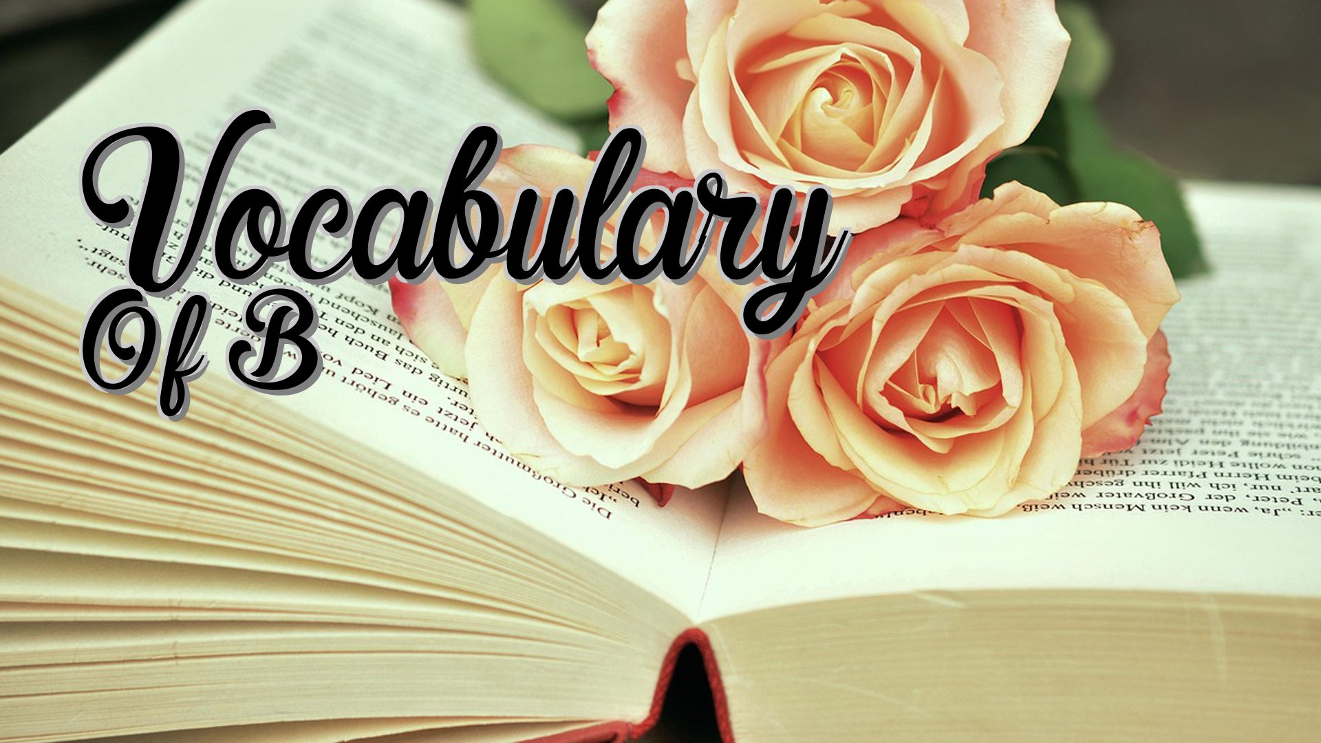 cover-Vocabulary Of B