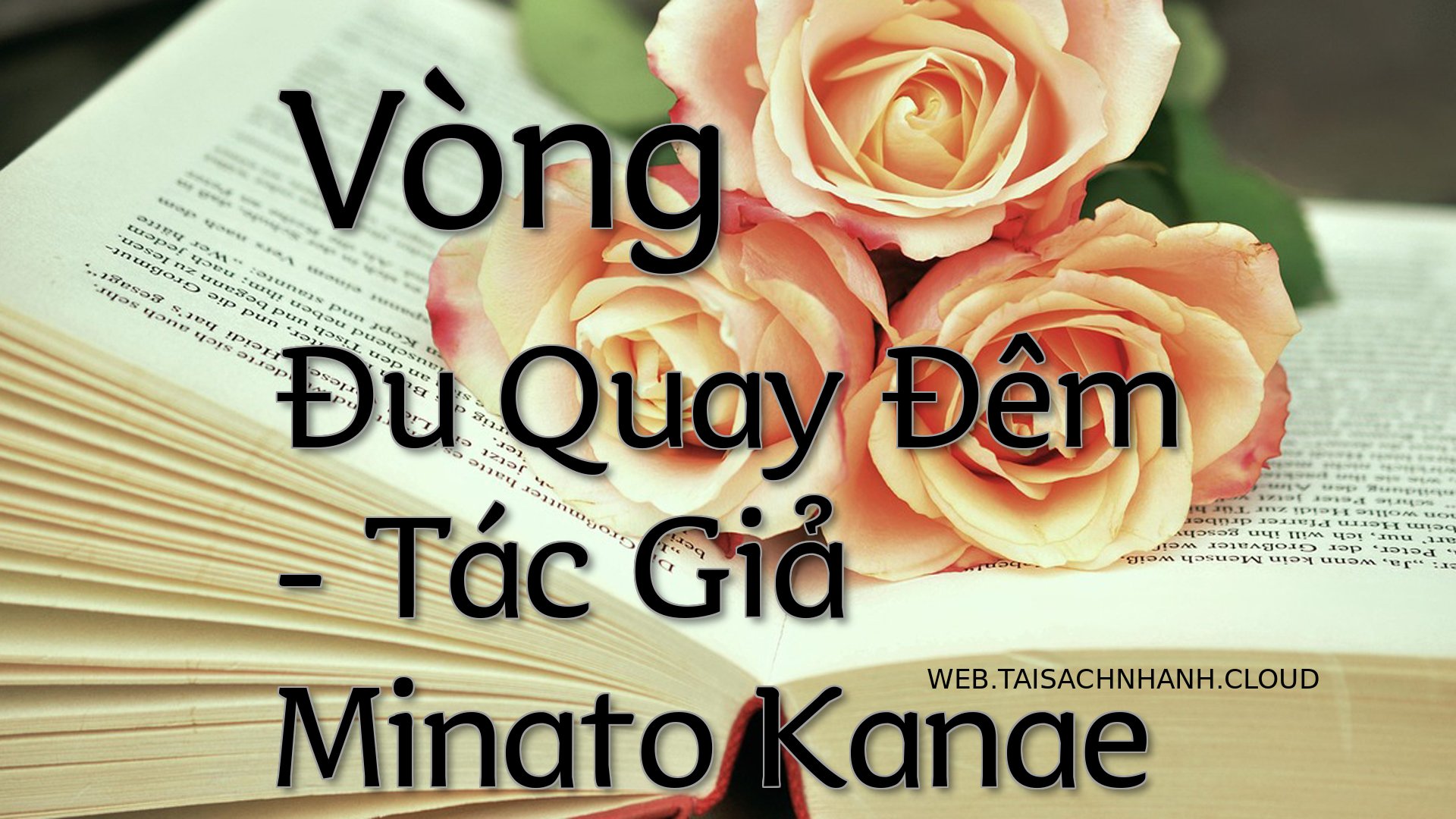 Cover Vong Du Quay Dem.jpg