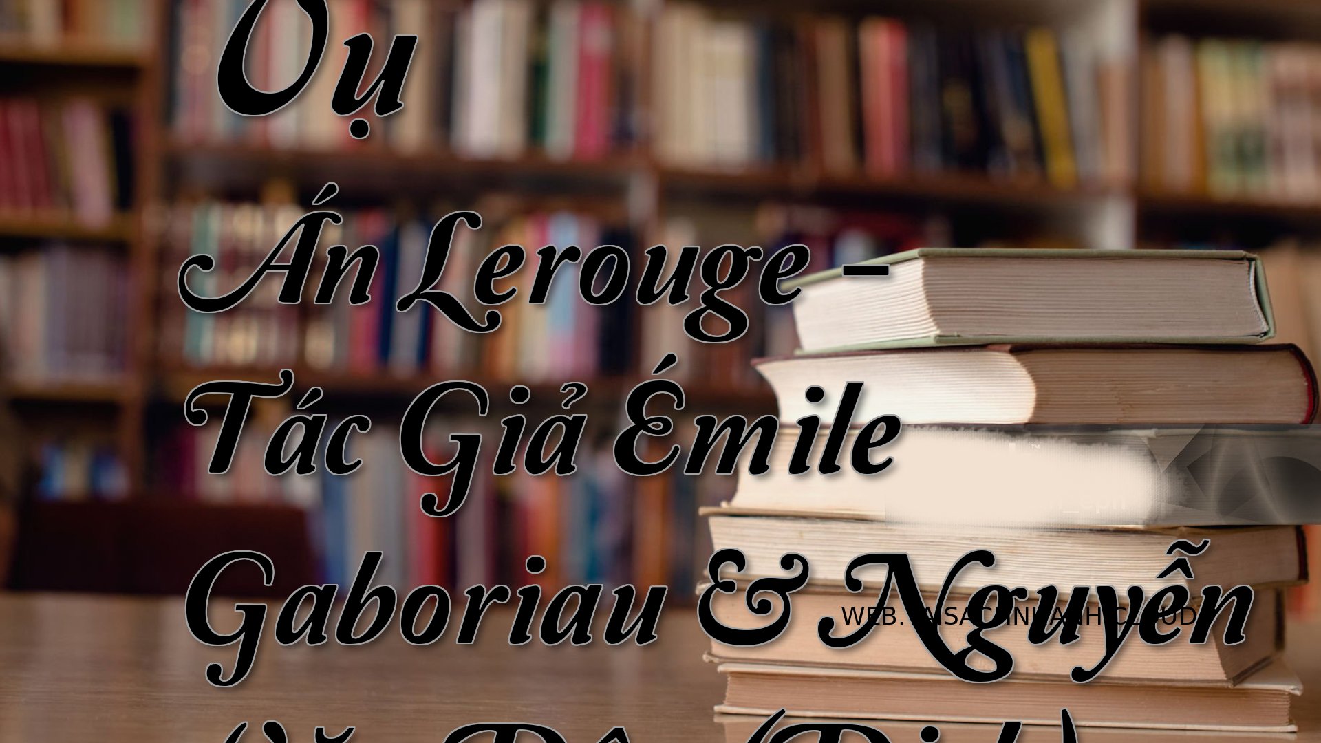 Cover Vu An Lerouge.jpg