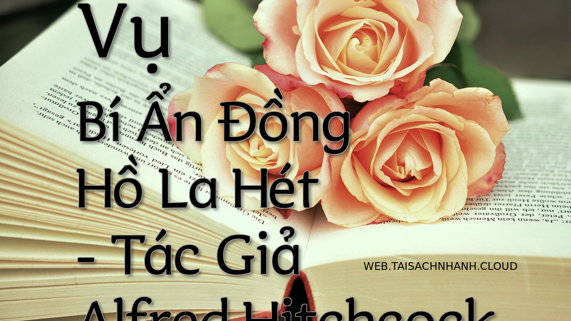 Cover Vu Bi An Dong Ho La .jpg