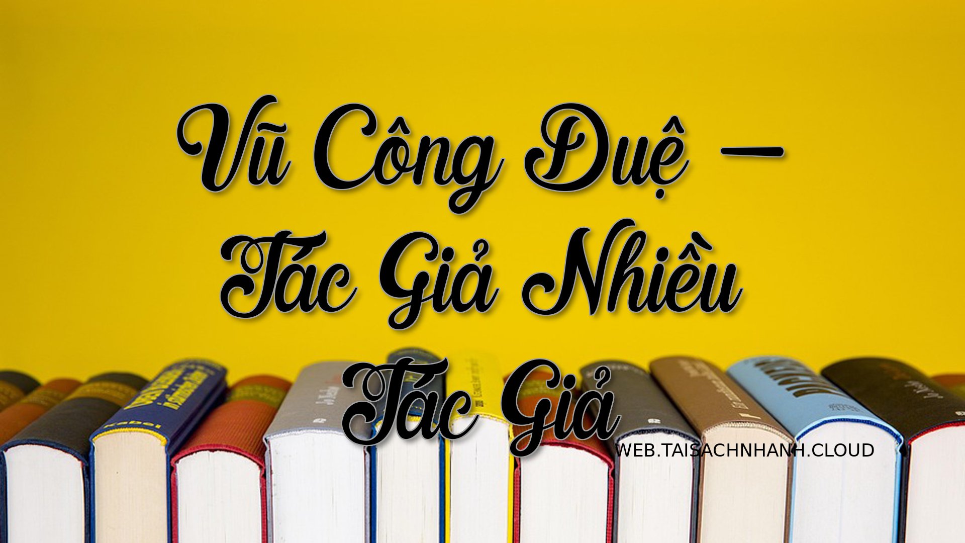 Cover Vu Cong Due.jpg