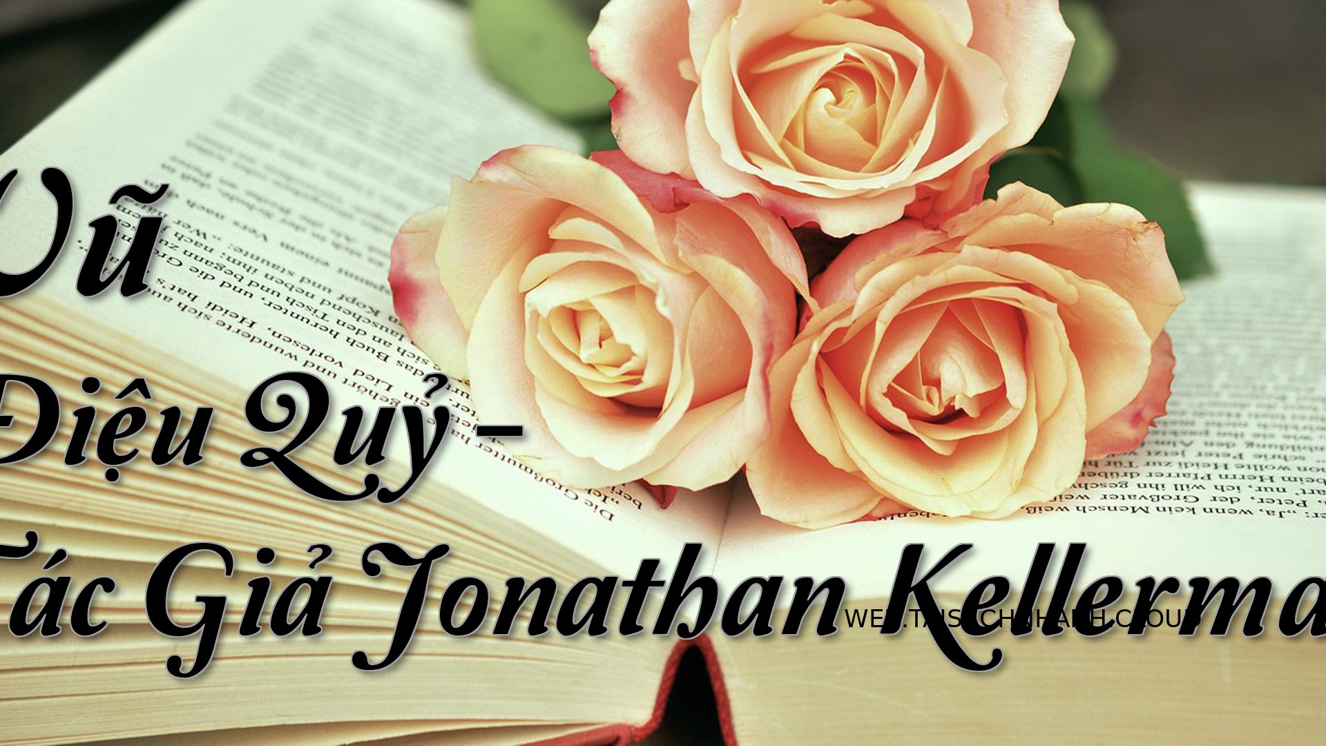 Cover Vu Dieu Quy.jpg