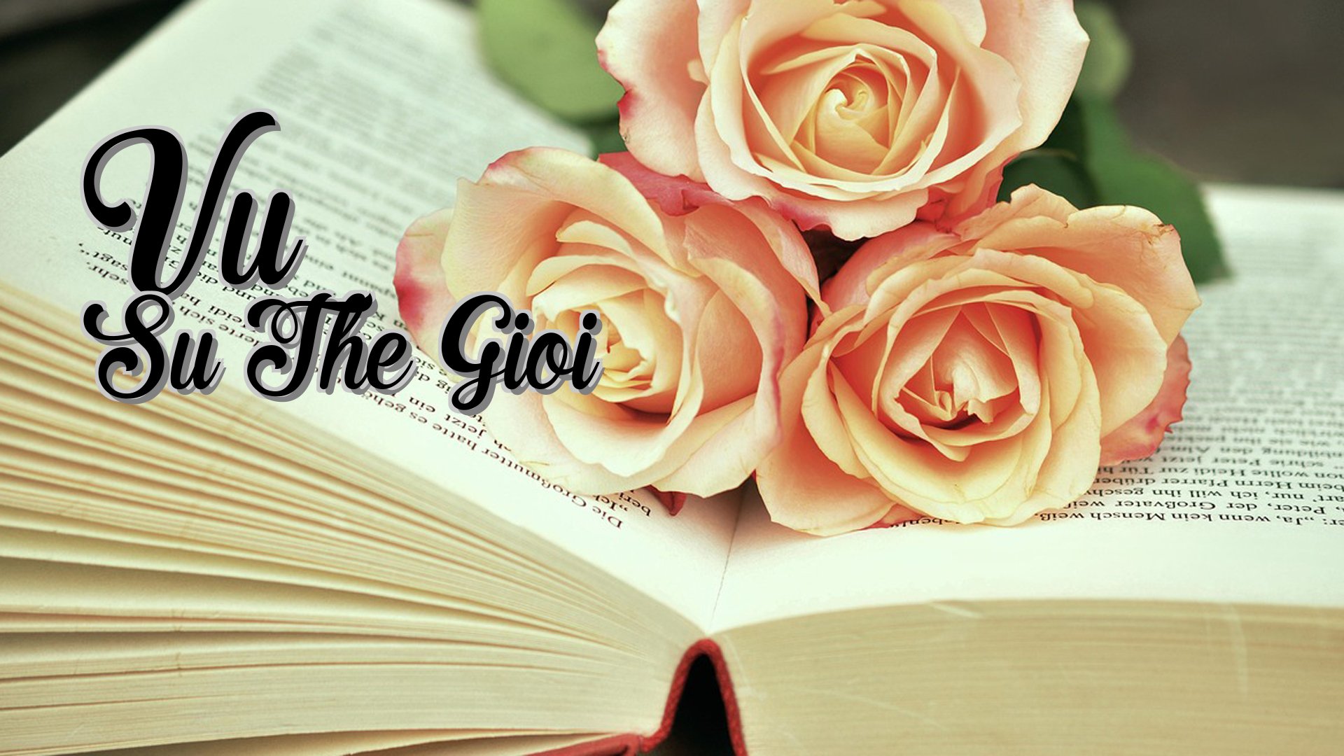 cover-Vu Su The Gioi