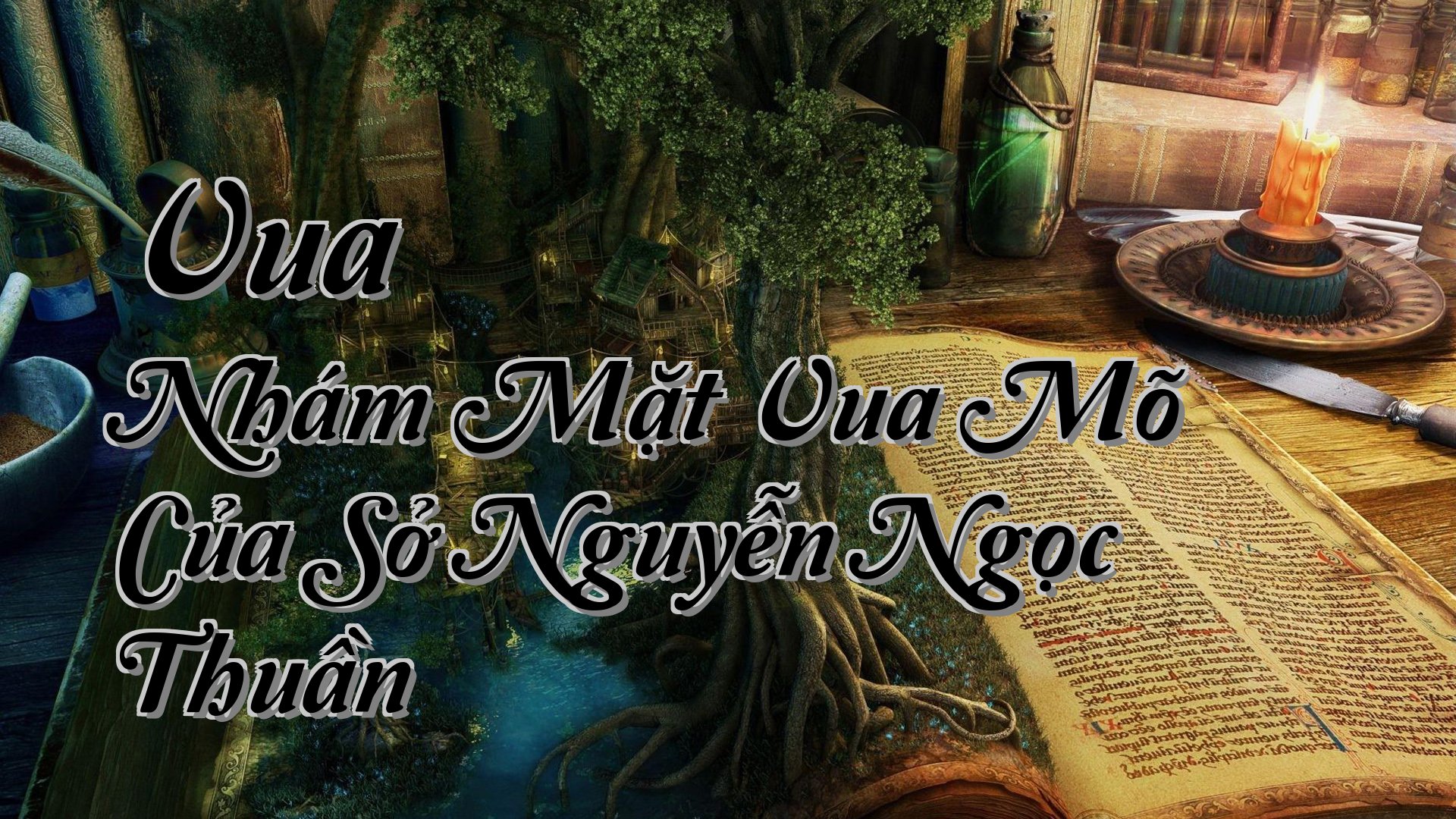 cover-Vua Nhám Mặt Vua Mõ Của Sở Nguyễn Ngọc Thuần