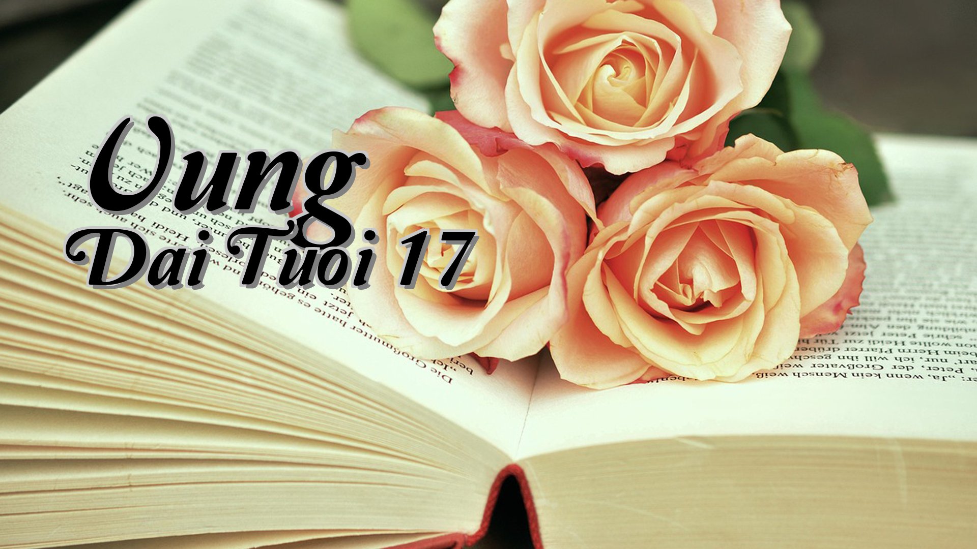 cover-Vung Dai Tuoi 17