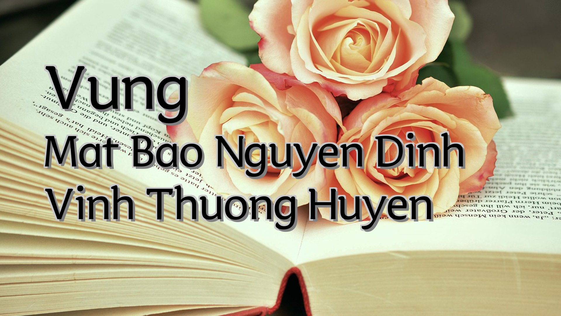 Cover image for Vung Mat Bao Nguyen Dinh Vinh Thuong Huyen