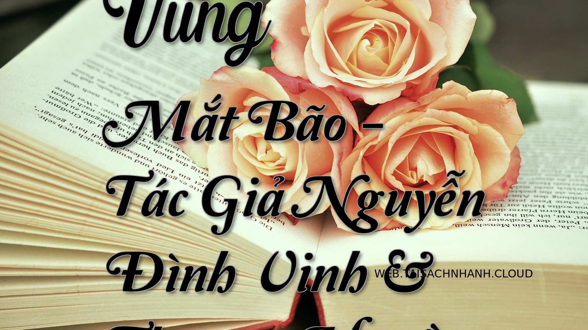 Cover Vung Mat Bao.jpg